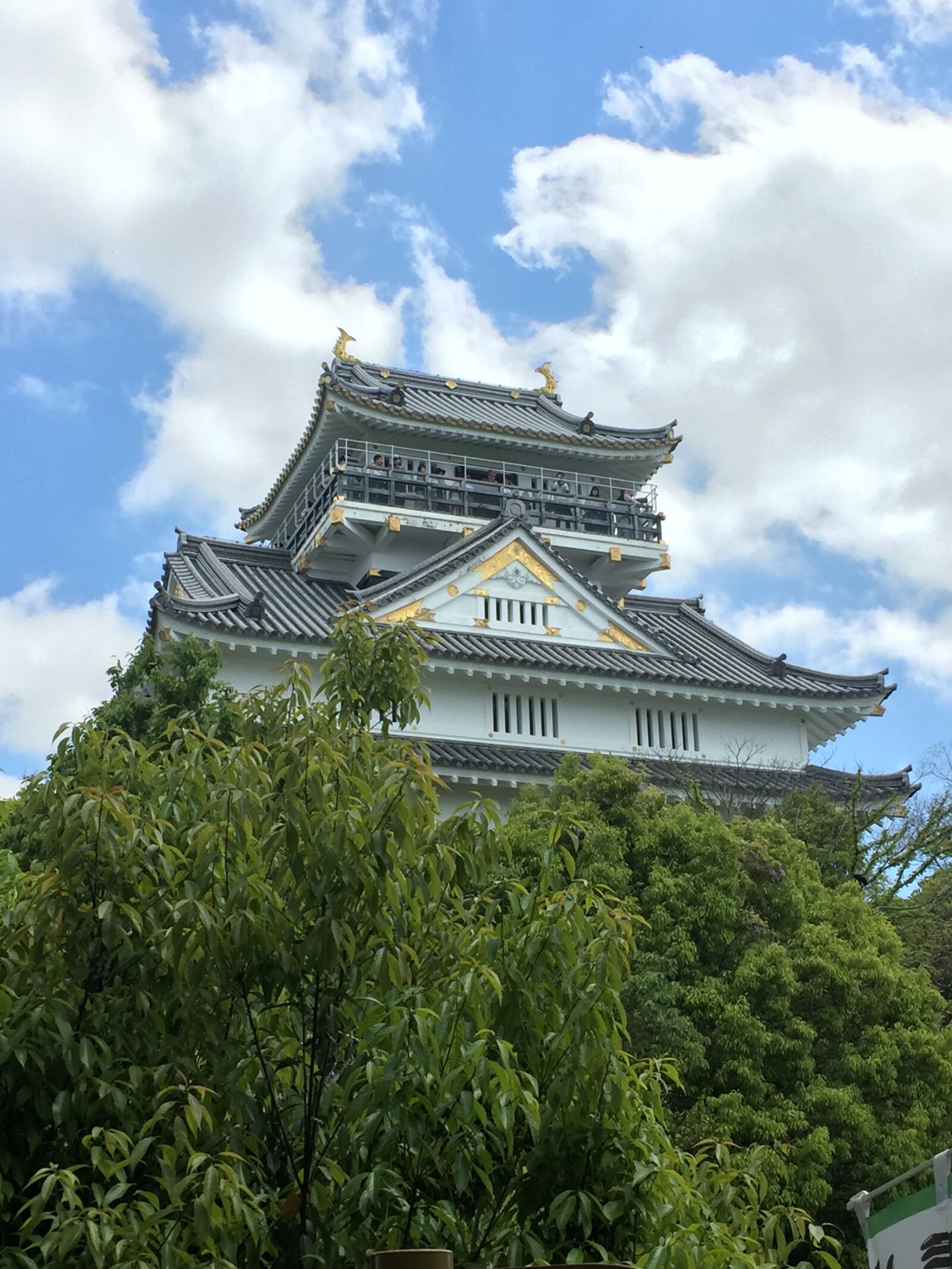 Apple iPhone 6 sample photo. Castle, gifu castle, gifu photography