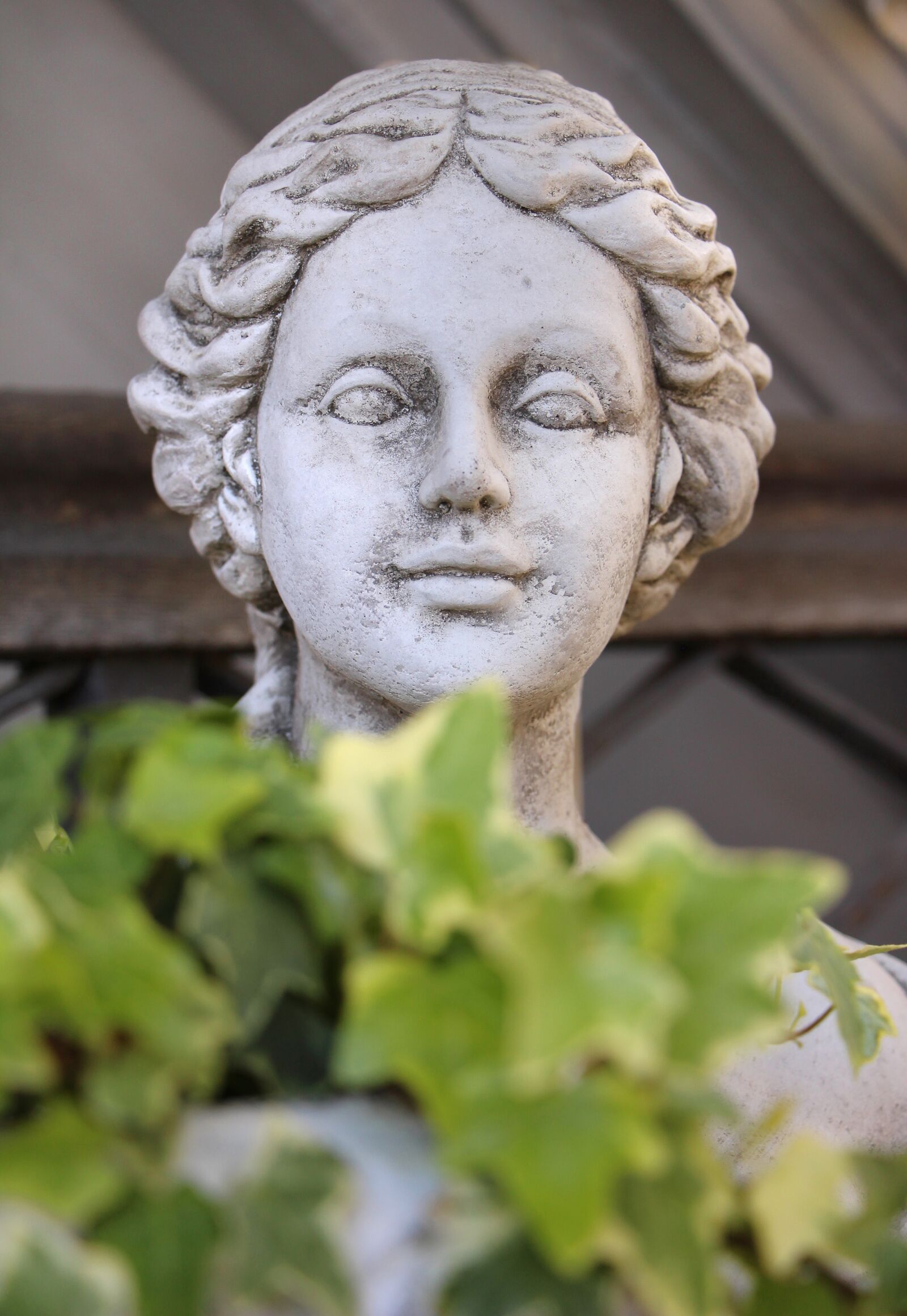 Canon EOS 650D (EOS Rebel T4i / EOS Kiss X6i) sample photo. Bust, sculpture, stone sculpture photography