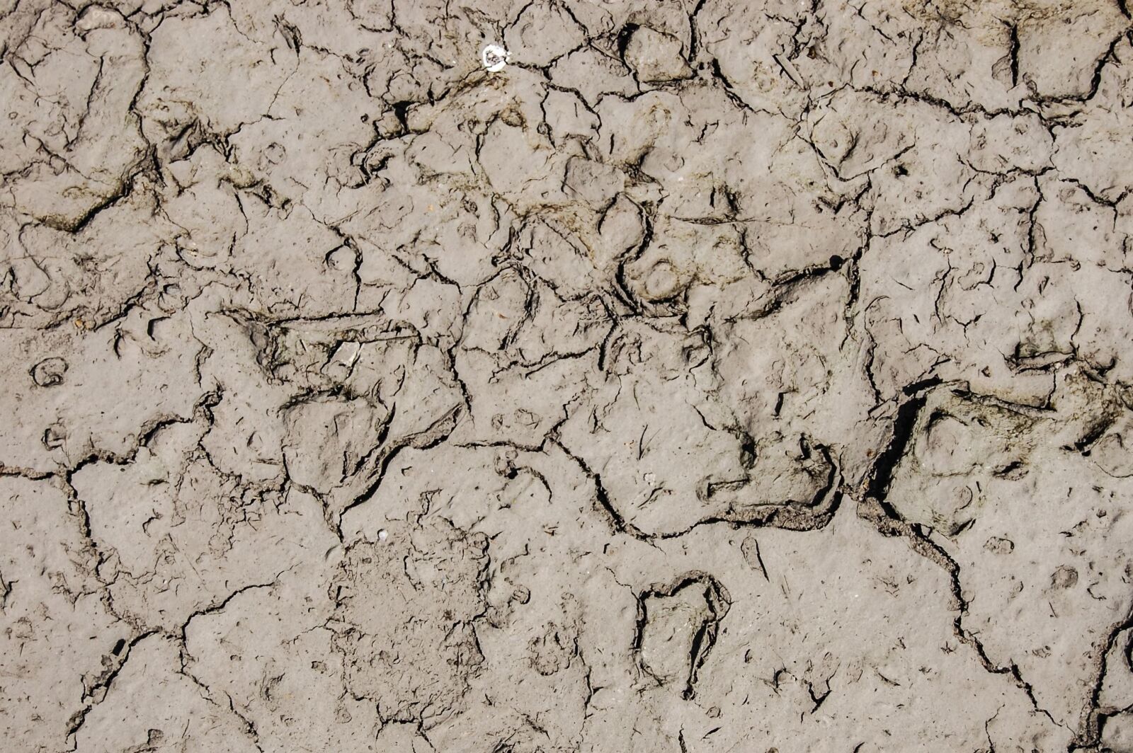 Nikon D40 sample photo. Ground, texture, wall, surface photography