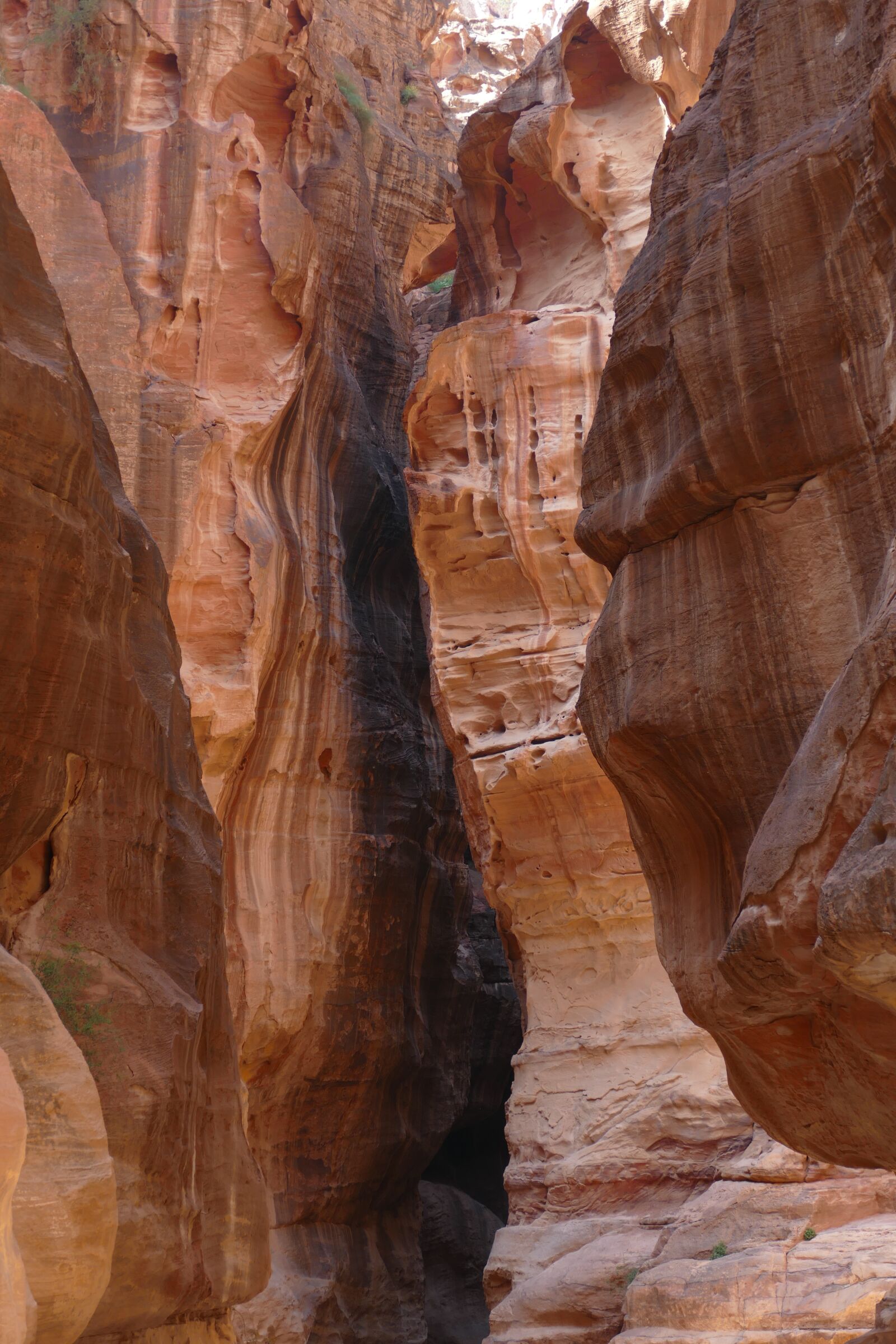 Panasonic Lumix DMC-FZ1000 sample photo. Jordan, petra, desert photography