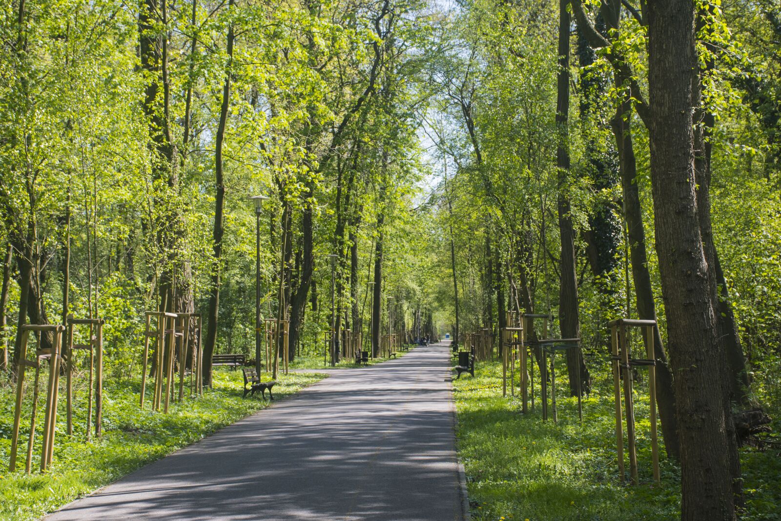 Nikon D7500 sample photo. Opole, the island bolko photography