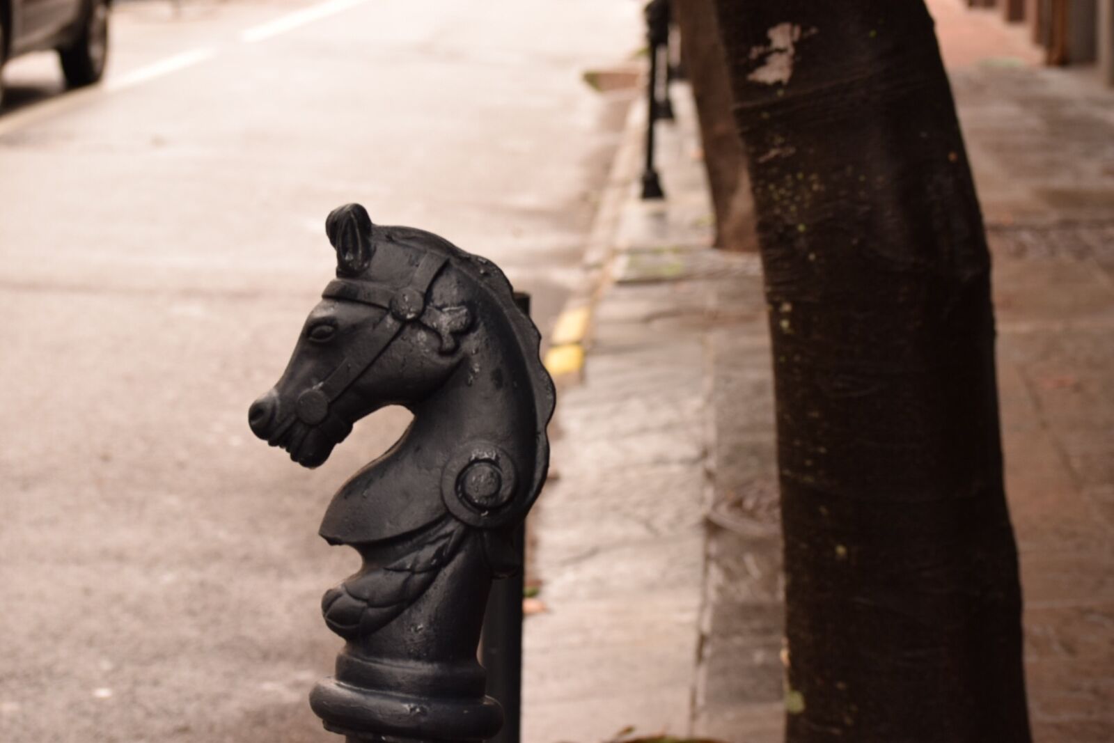 Nikon D3300 sample photo