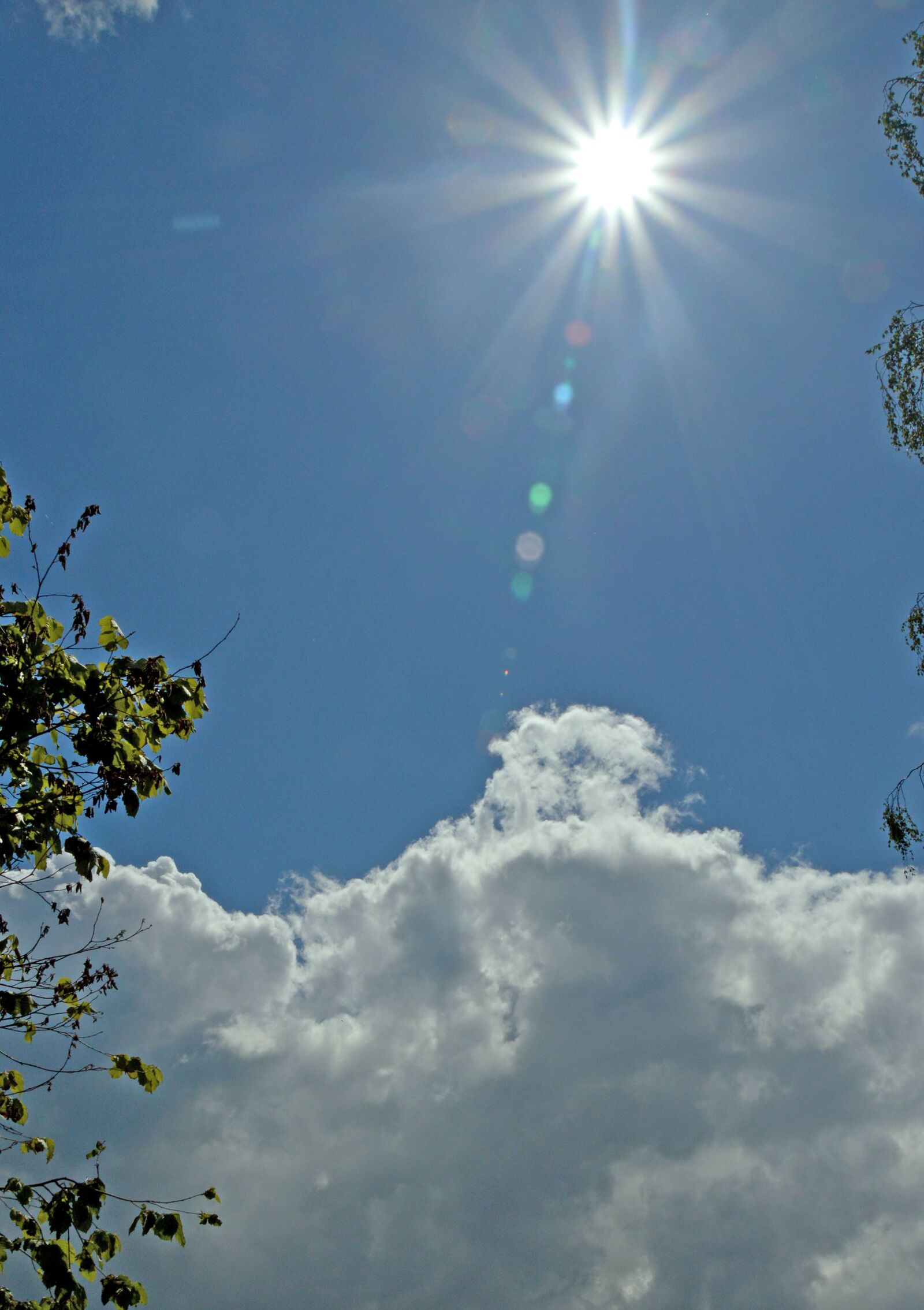 Nikon D3200 sample photo. Sonne, sonnenstrahlen, himmel photography