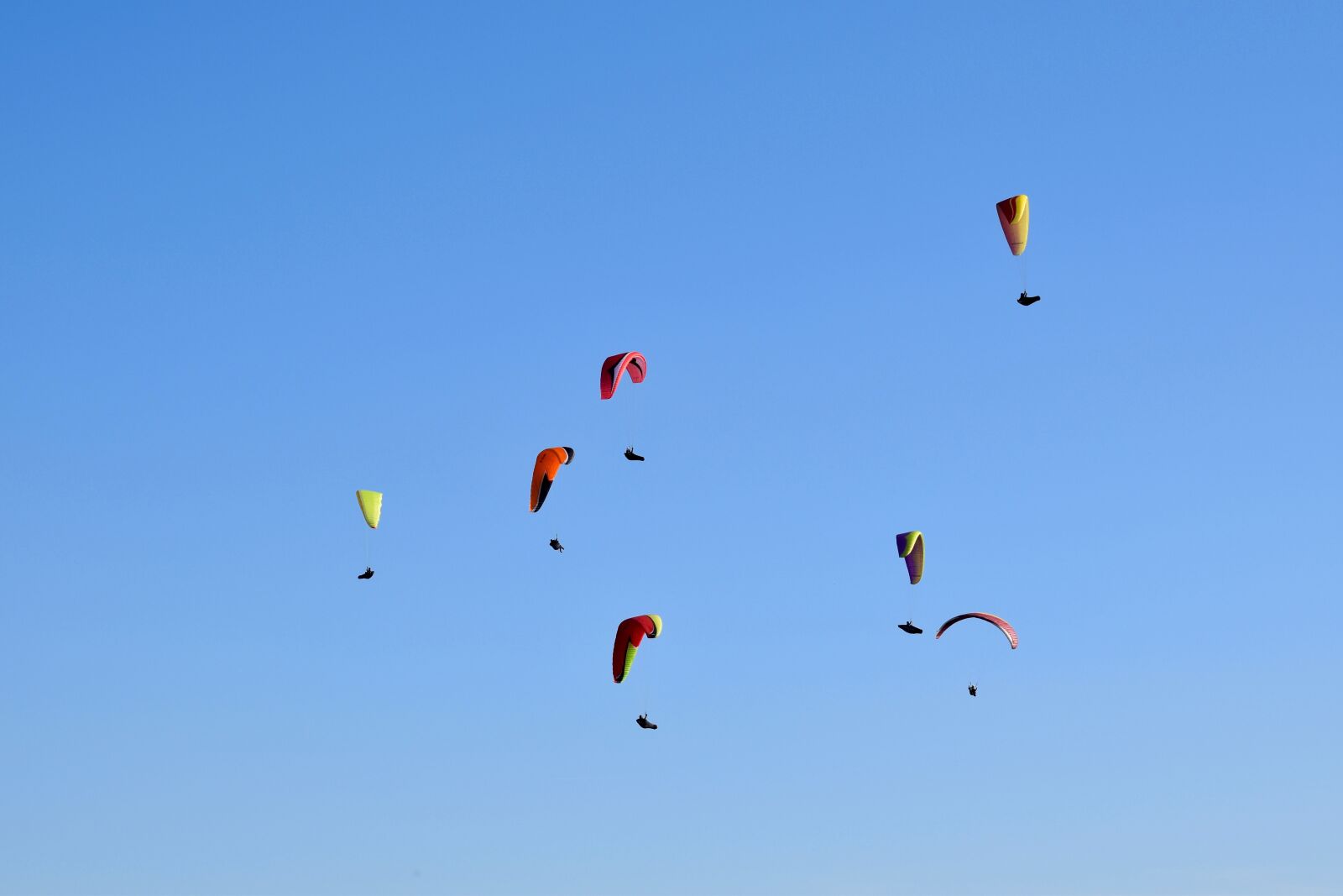 Nikon D5600 sample photo. Paragliding, paraglider, paragliders photography