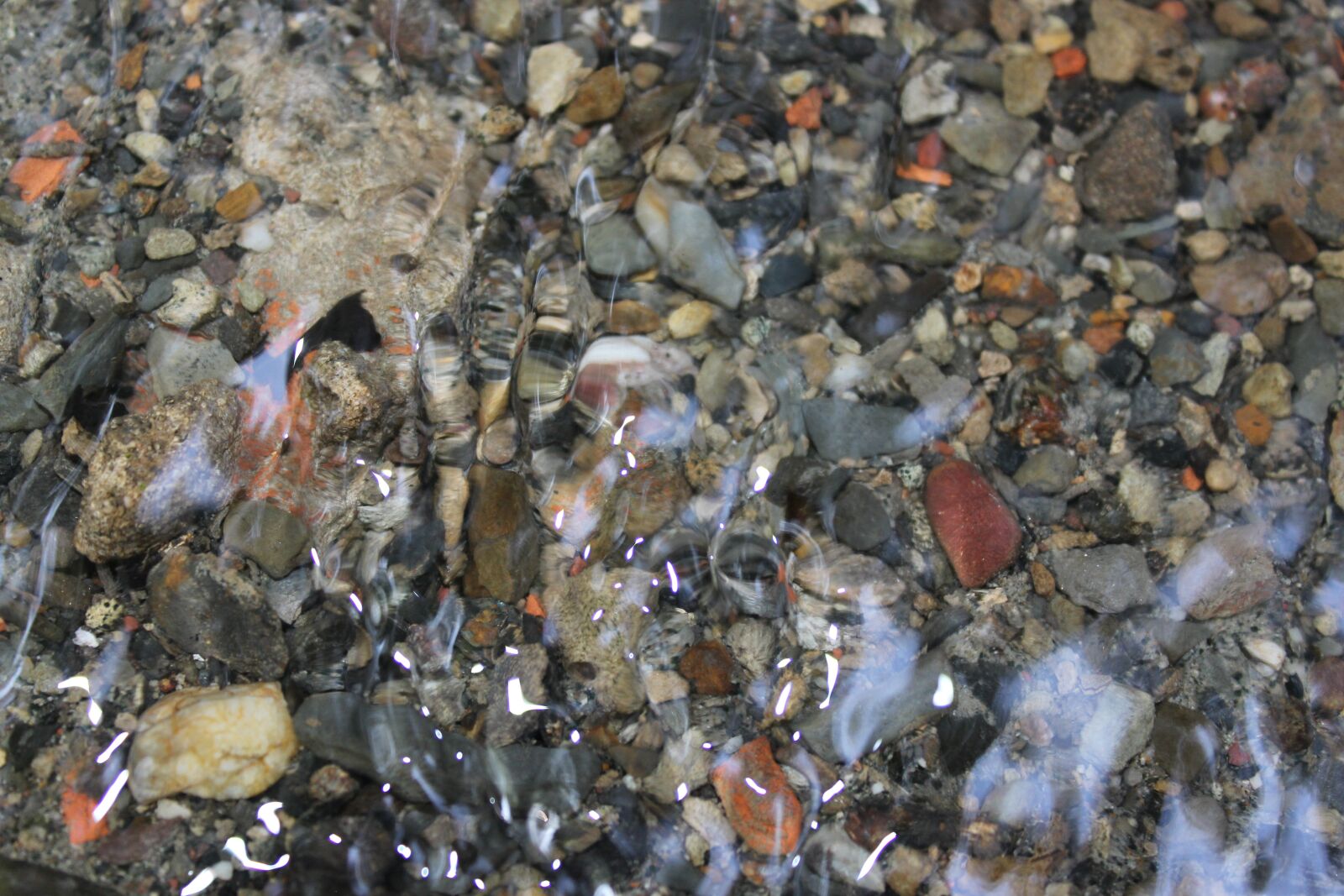 Canon EOS 600D (Rebel EOS T3i / EOS Kiss X5) sample photo. River, water, stones photography