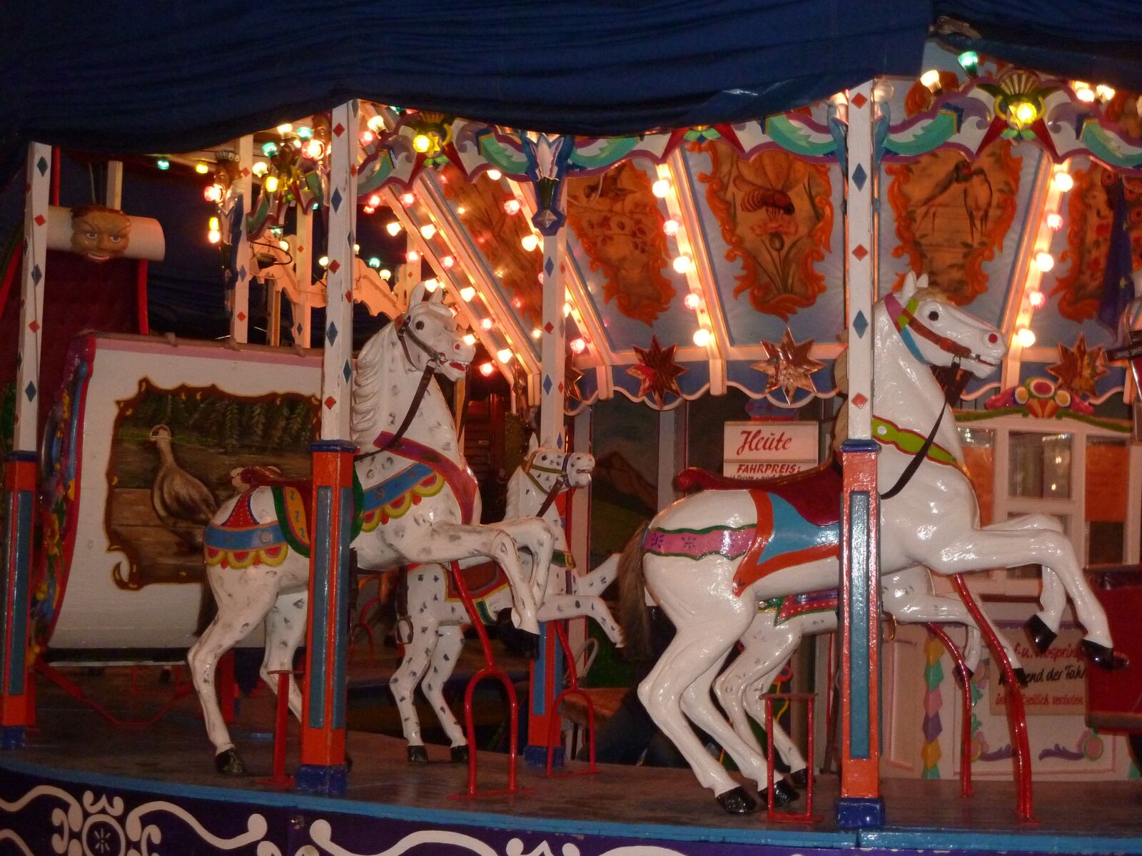 Panasonic DMC-TZ7 sample photo. Dom, carousel horses, horses photography