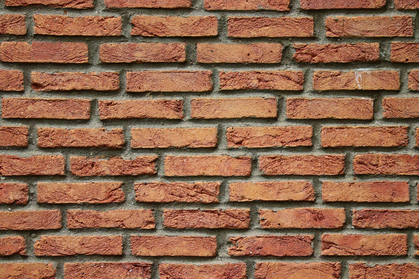 Canon EOS 200D (EOS Rebel SL2 / EOS Kiss X9) sample photo. Wall, brick, pattern photography
