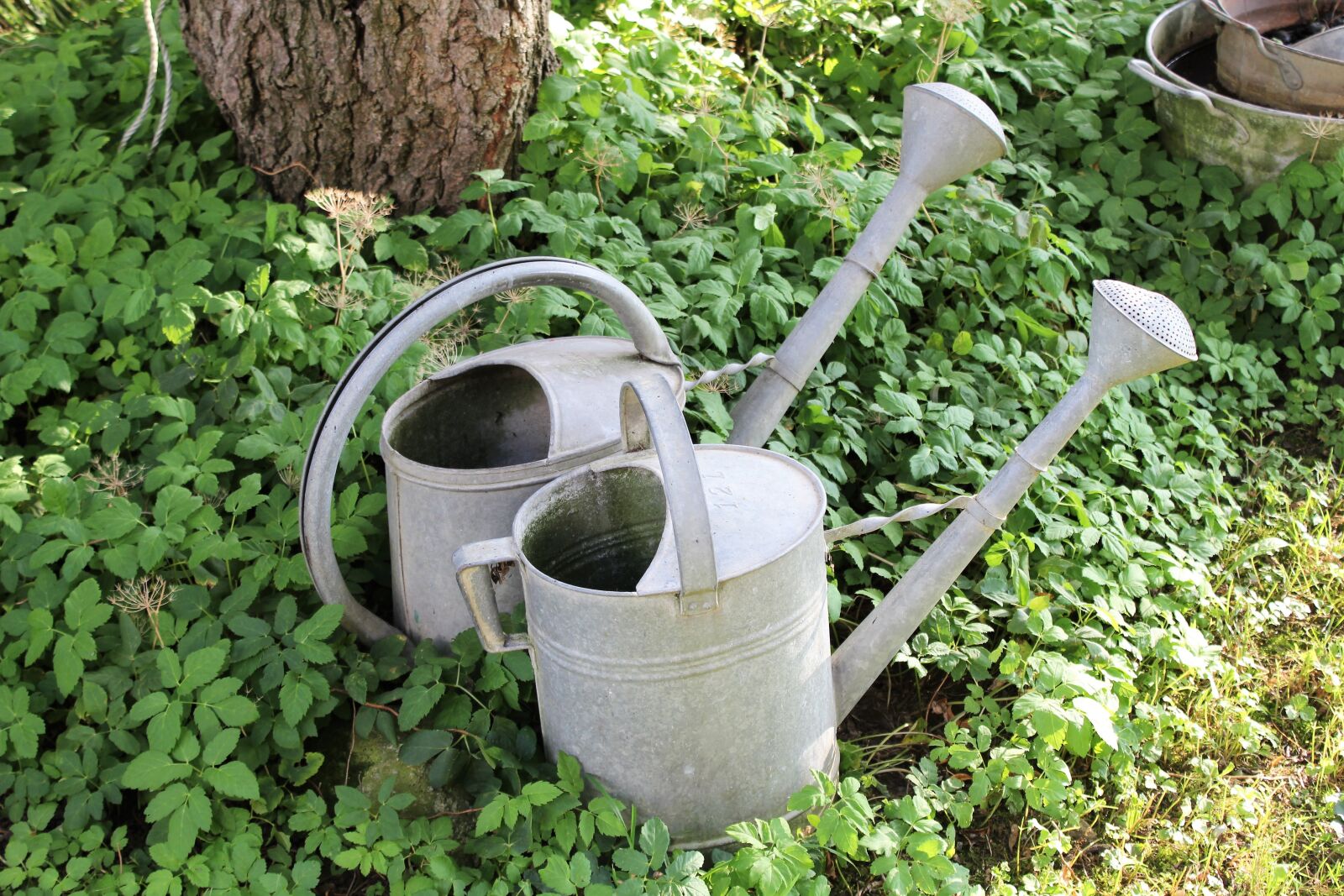 Canon EOS 1200D (EOS Rebel T5 / EOS Kiss X70 / EOS Hi) sample photo. Watering cans, old, garden photography