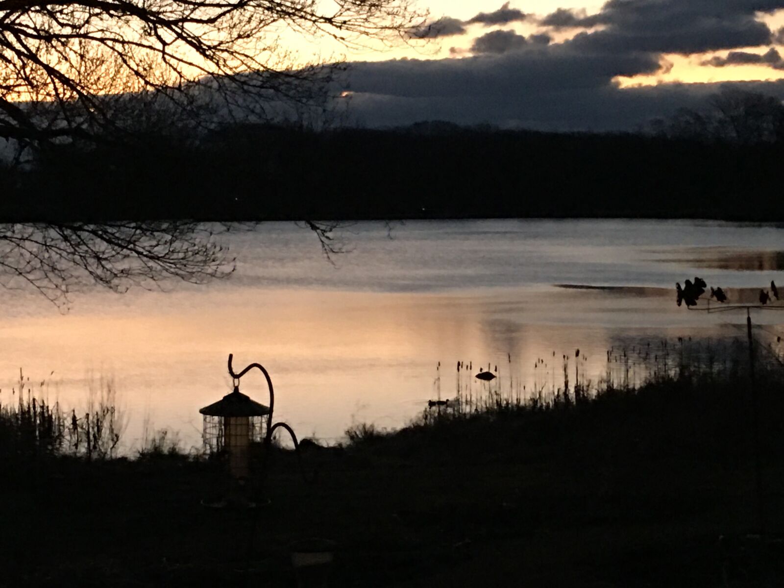iPhone 6s Plus back camera 4.15mm f/2.2 sample photo. Sunrise, pond, landscape photography