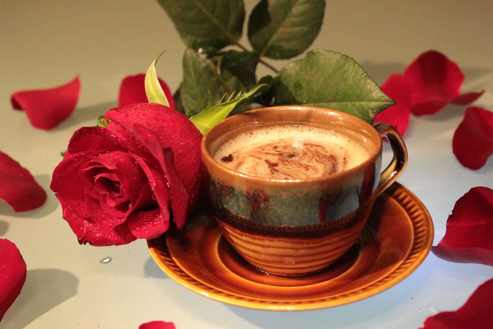 Canon EOS 600D (Rebel EOS T3i / EOS Kiss X5) sample photo. Rose, coffee, cup photography