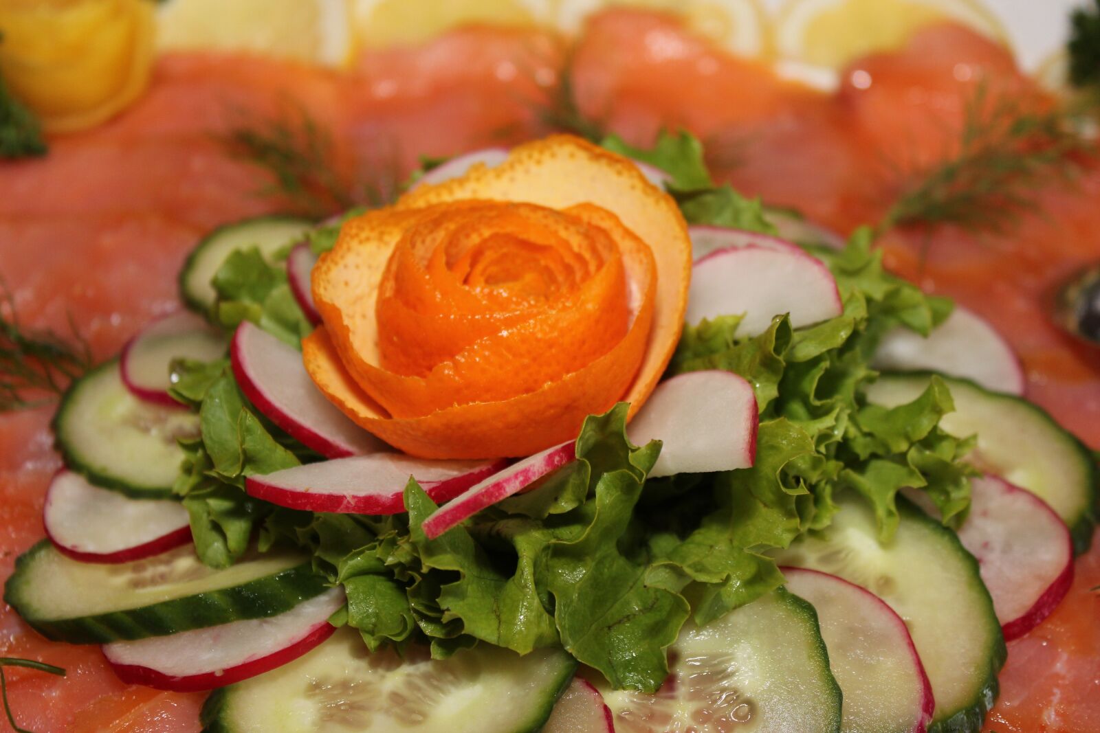 Canon EOS 600D (Rebel EOS T3i / EOS Kiss X5) sample photo. Salmon, salad, cold buffet photography
