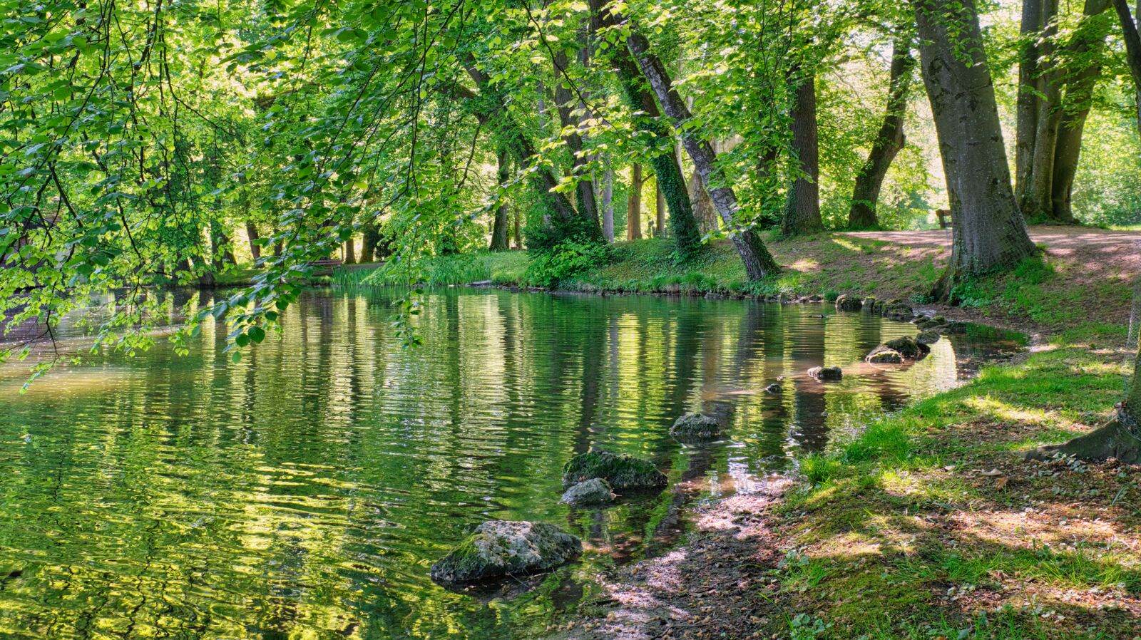 Nikon D7500 sample photo. Trees, stones, bank photography