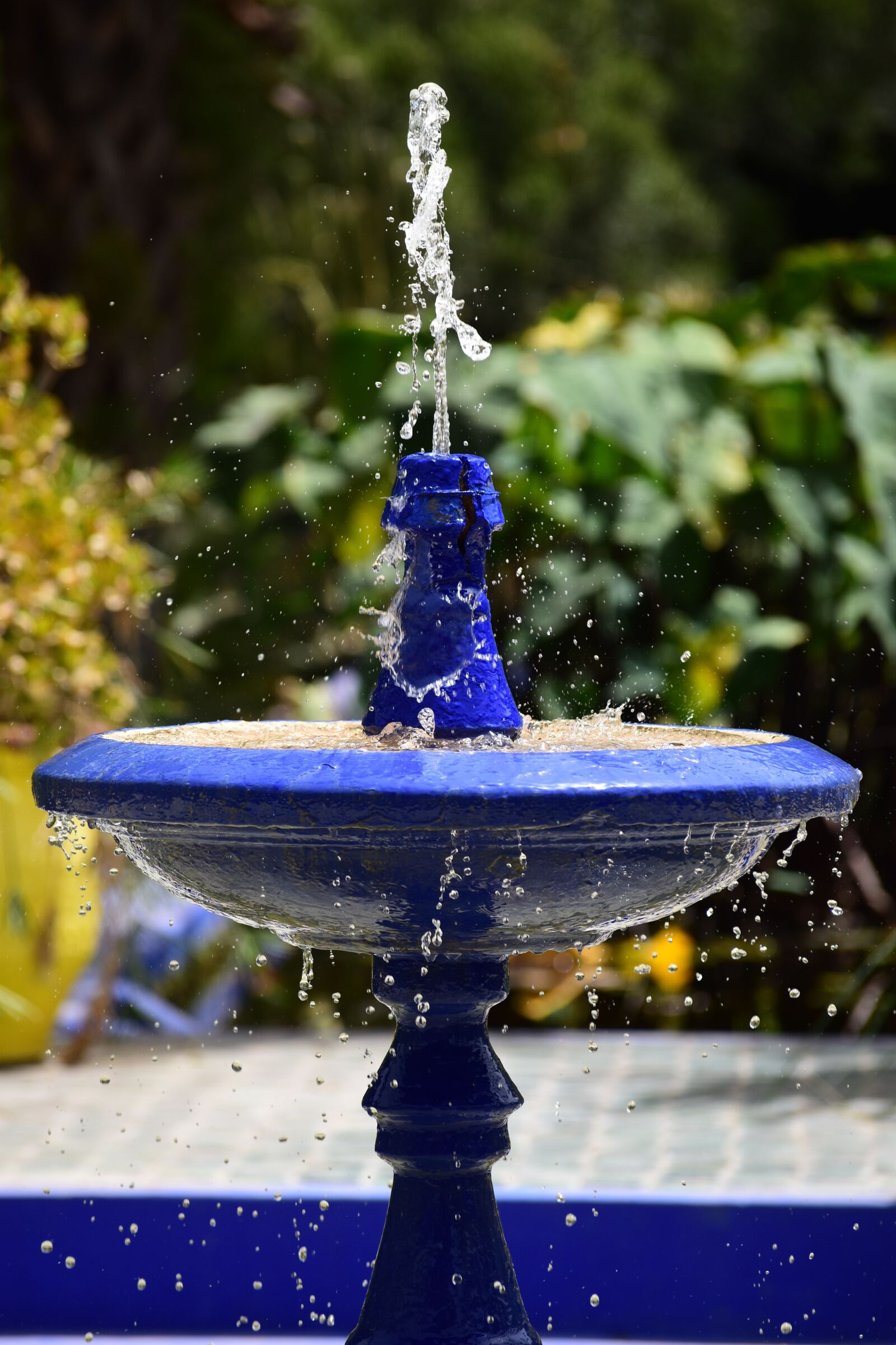 Nikon D5500 sample photo. Marrakech, morocco, majorel photography