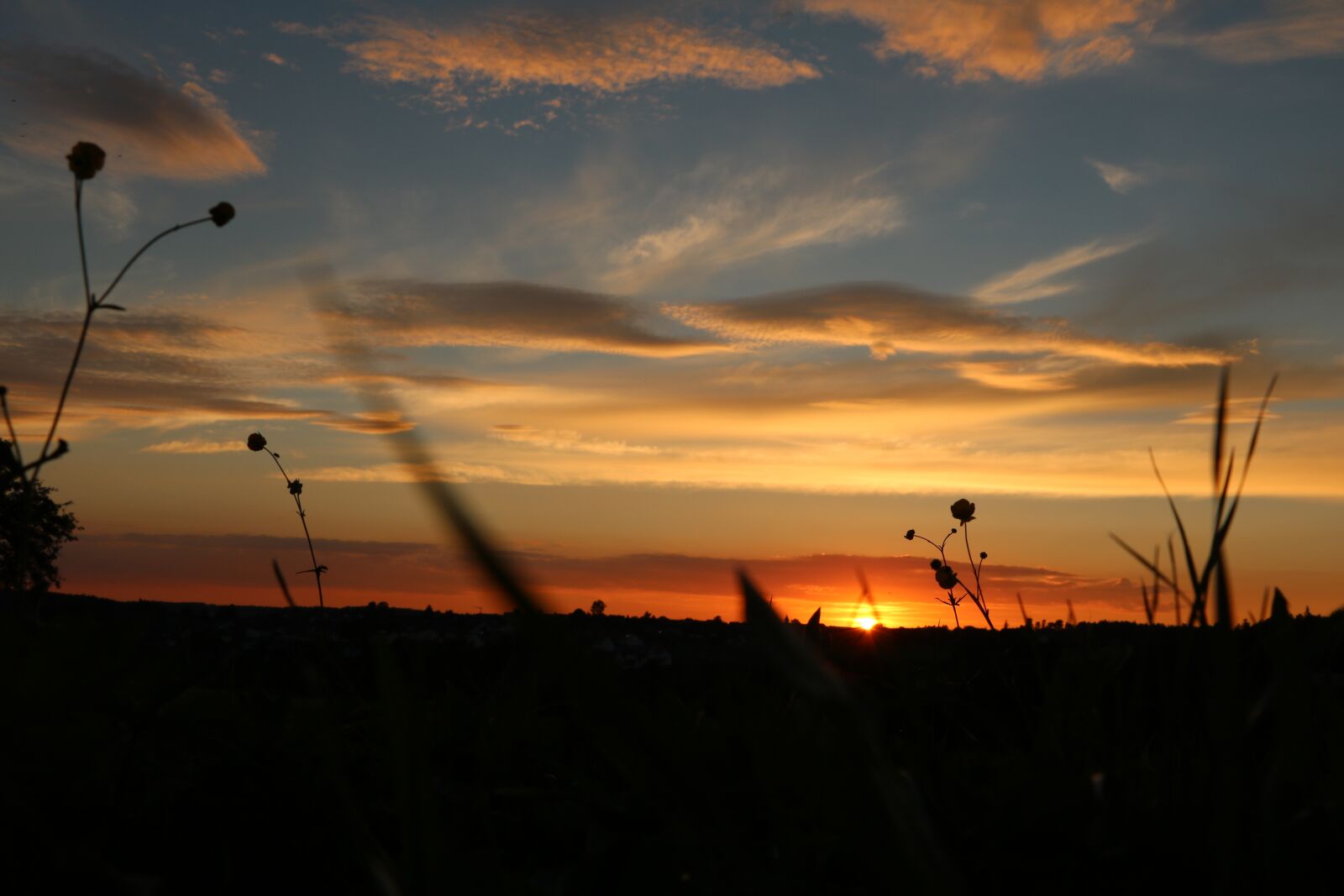 Canon EOS 750D (EOS Rebel T6i / EOS Kiss X8i) sample photo. Sunset, evening sky, meadow photography