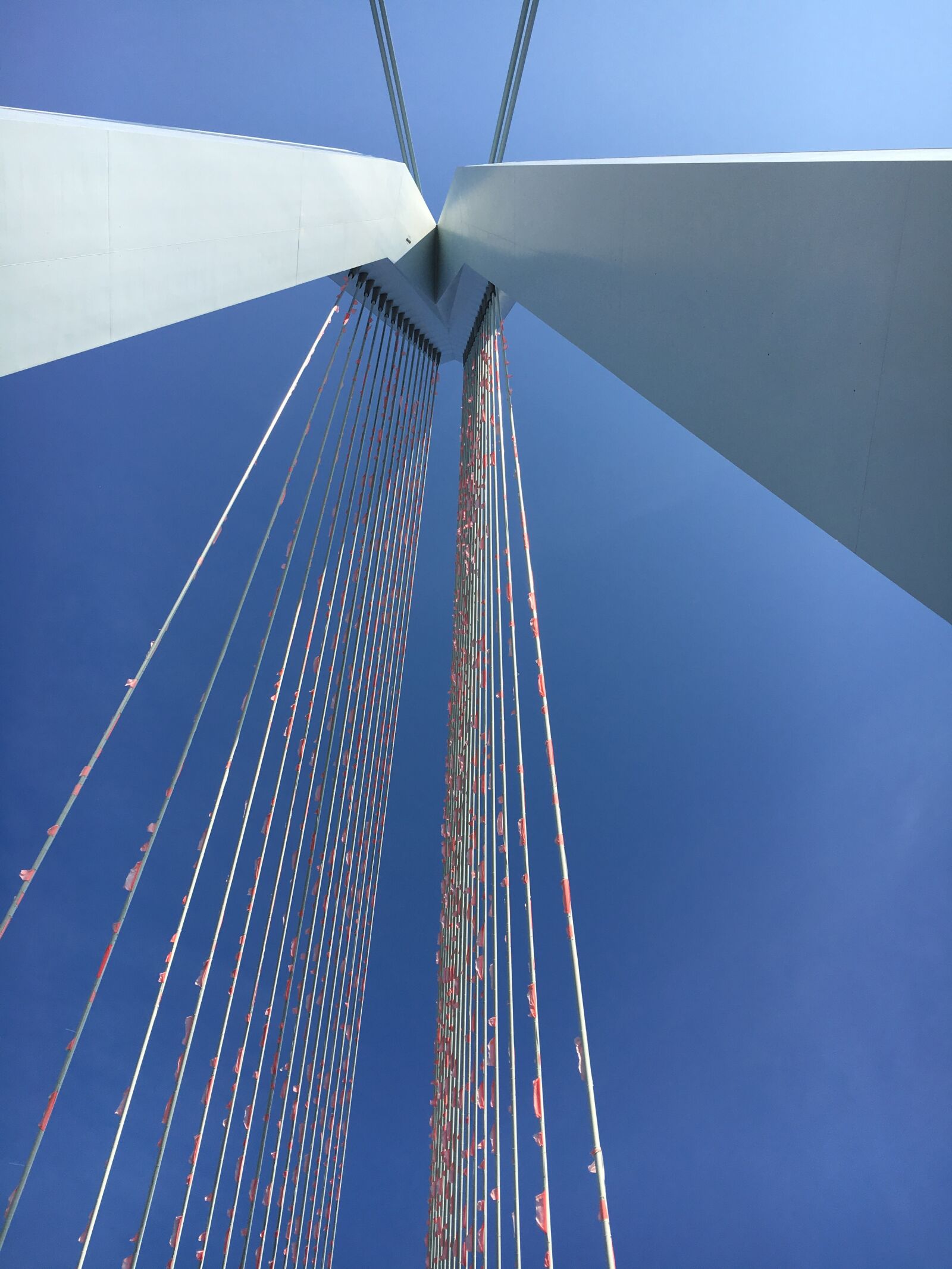 Apple iPhone 6s sample photo. Erasmus bridge, rotterdam, flags photography