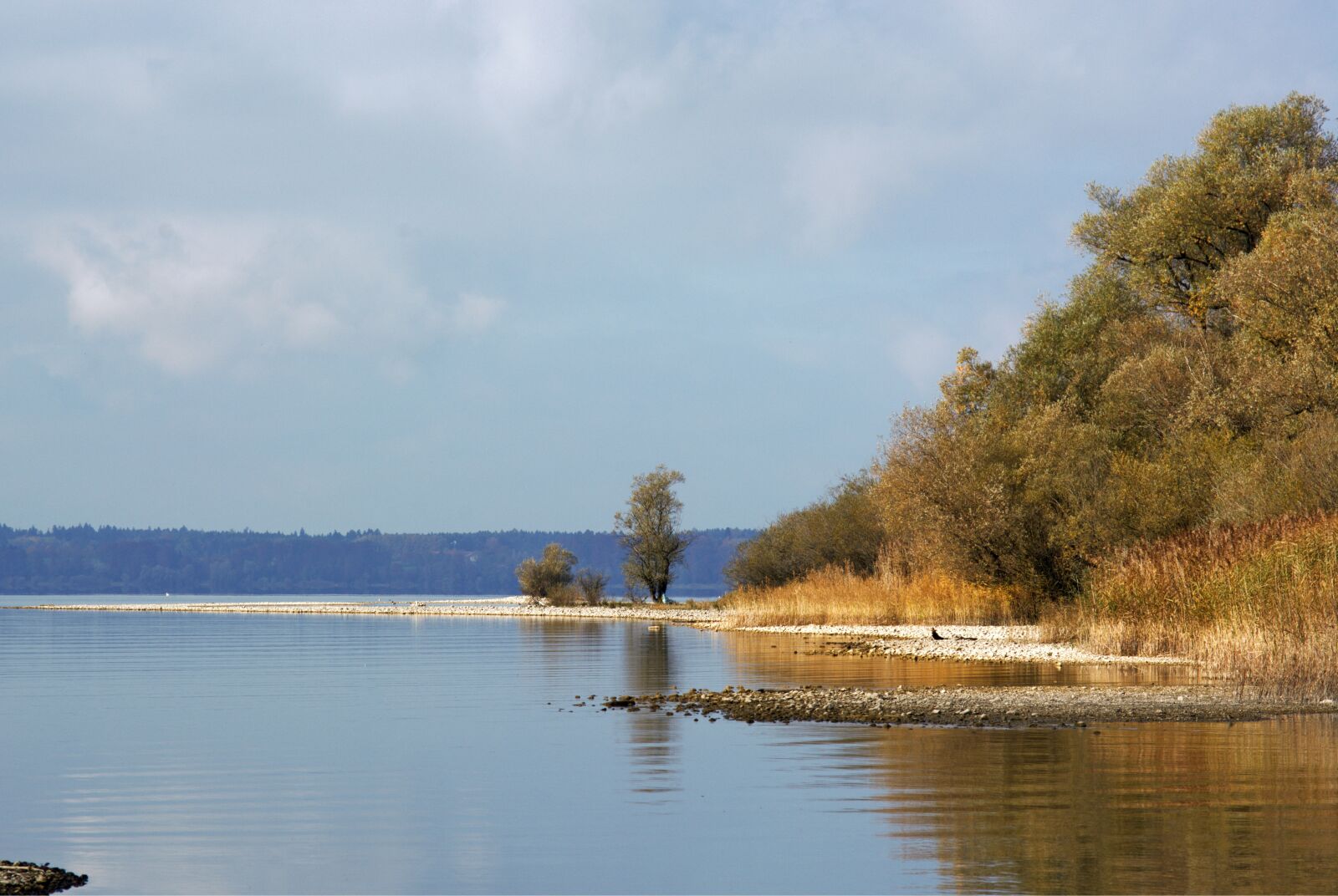 55.0-200.0mm f/4.0-f/5.6 sample photo. Autumn, bank, trees photography