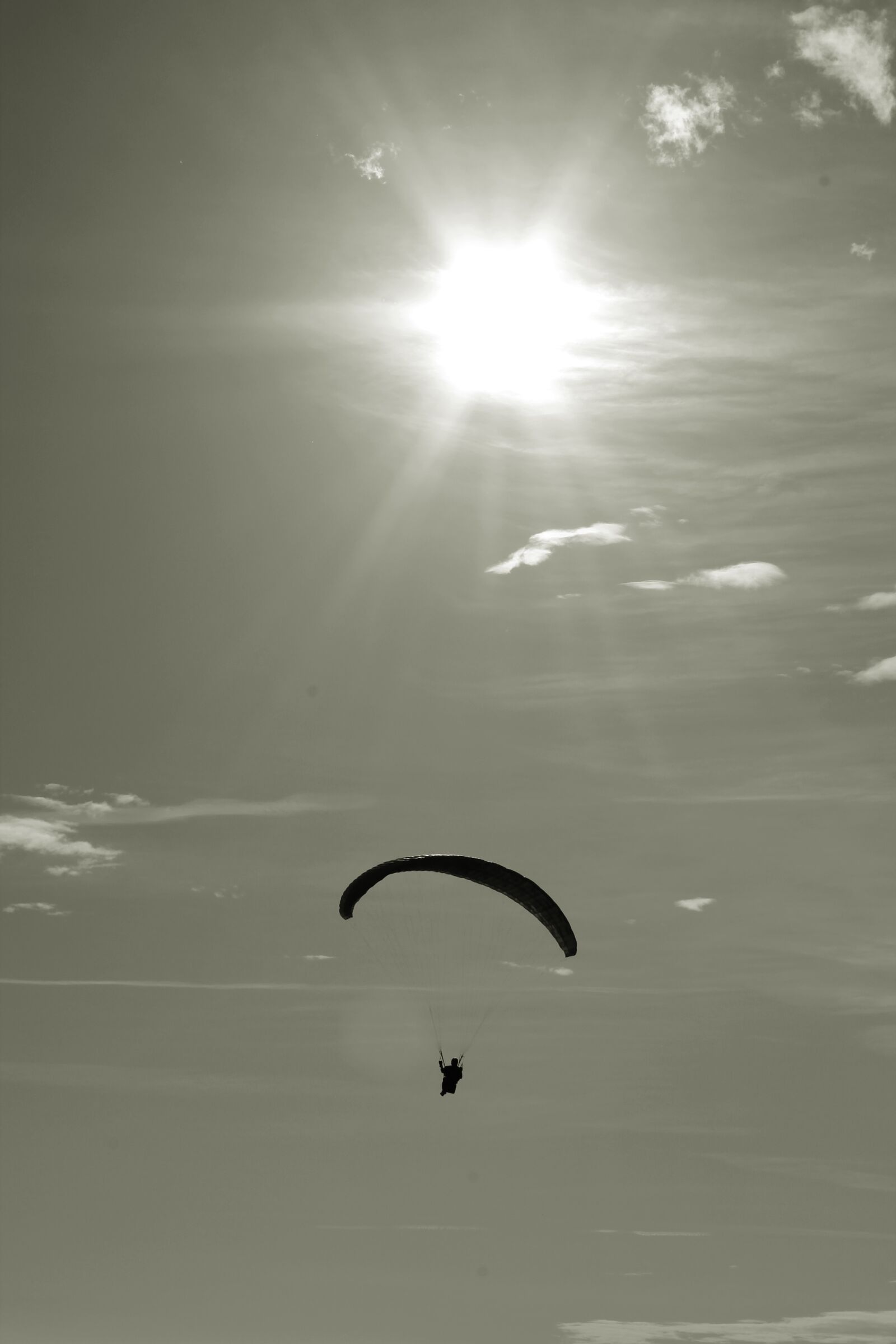 Canon EOS 1100D (EOS Rebel T3 / EOS Kiss X50) sample photo. Skydiving, parachute, black white photography