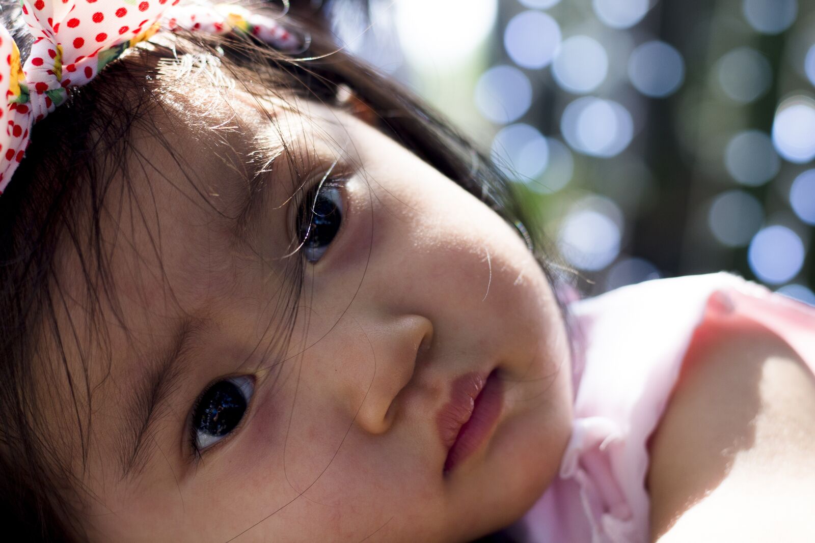 Canon EOS 700D (EOS Rebel T5i / EOS Kiss X7i) + Canon EF 50mm F1.8 STM sample photo. Baby, lie, kitty photography