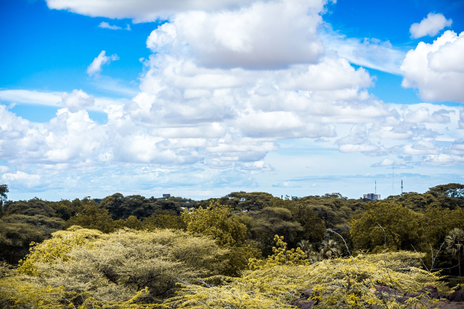 Canon EOS 700D (EOS Rebel T5i / EOS Kiss X7i) + Canon EF 50mm F1.4 USM sample photo. Nature, sky, panoramic photography