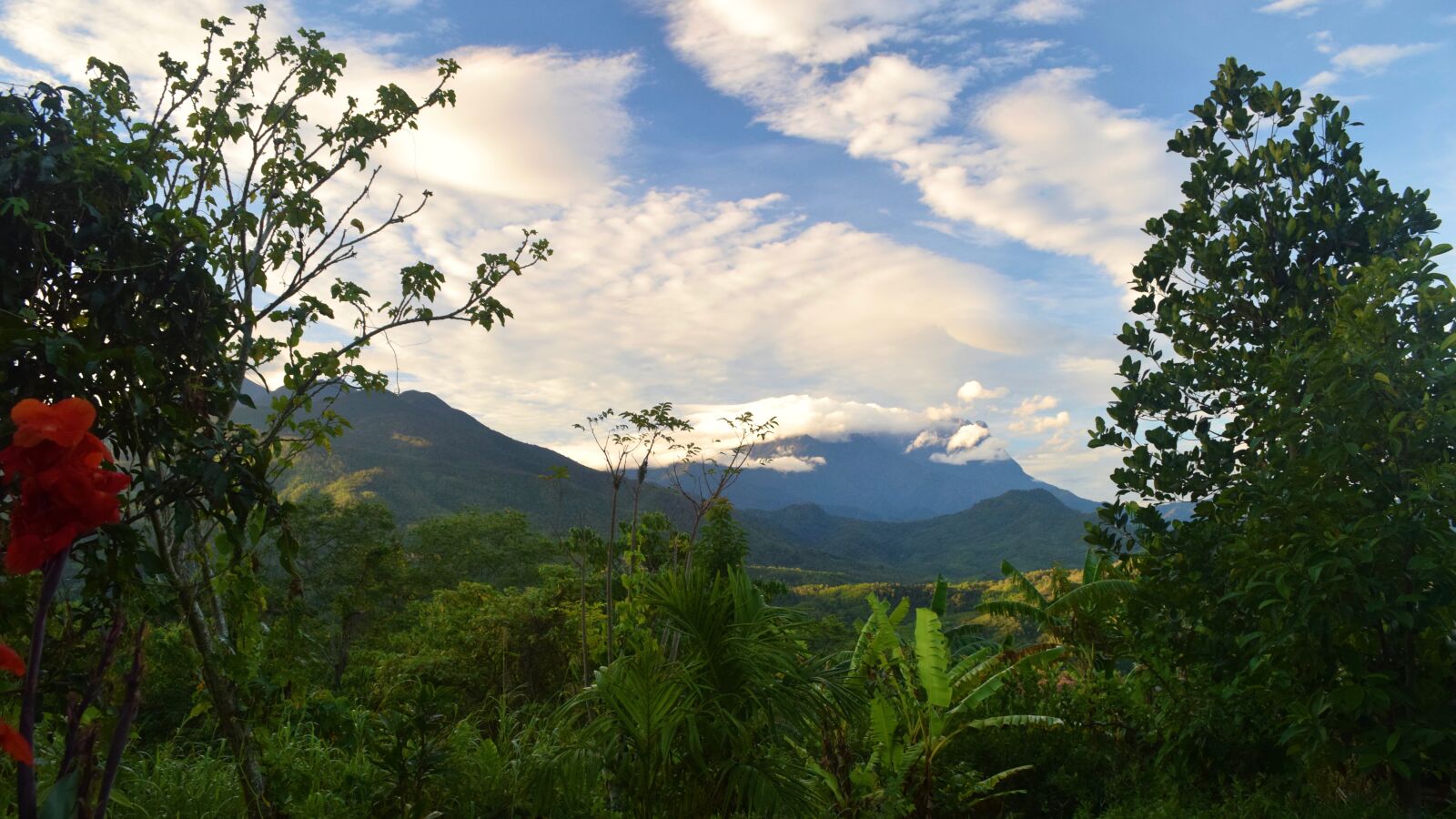Nikon D5300 sample photo. Mount, kinabulu, mountain, plants photography