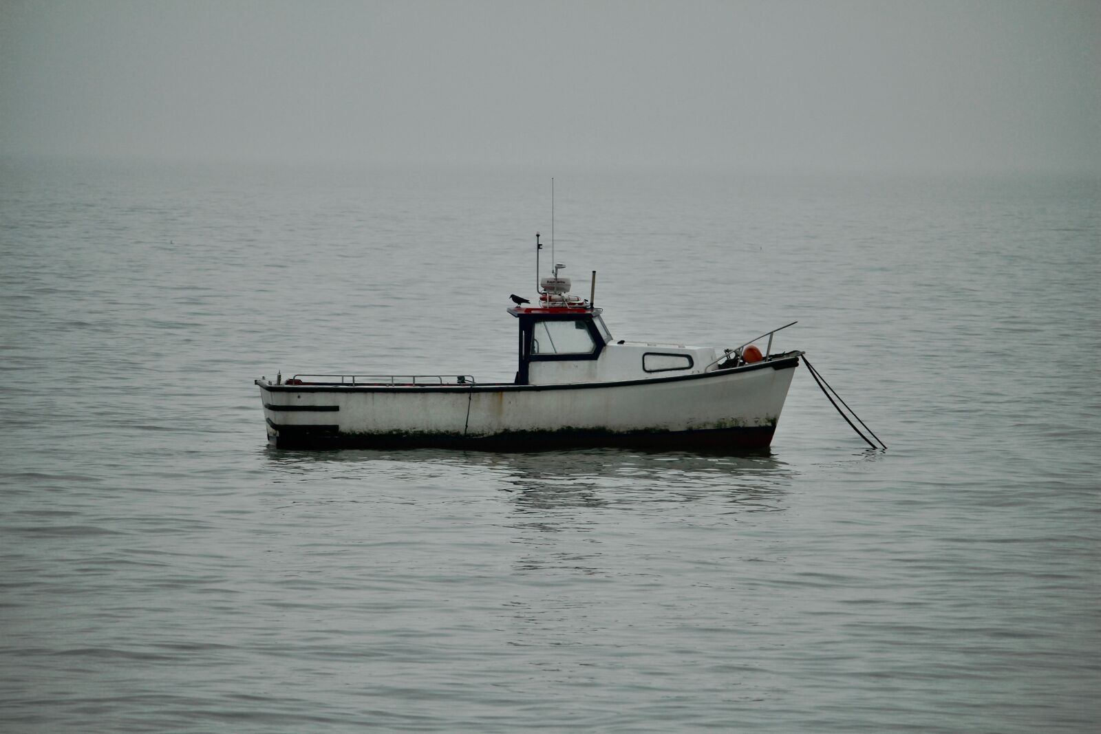 Canon EOS 700D (EOS Rebel T5i / EOS Kiss X7i) + Canon EF-S 55-250mm F4-5.6 IS sample photo. Boat, fog, river, thames photography