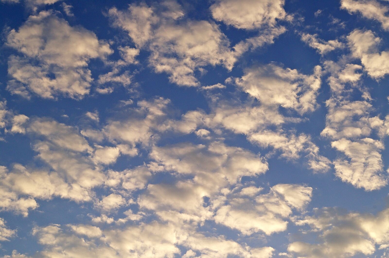 Pentax *ist DL2 sample photo. White clouds, blue sky photography