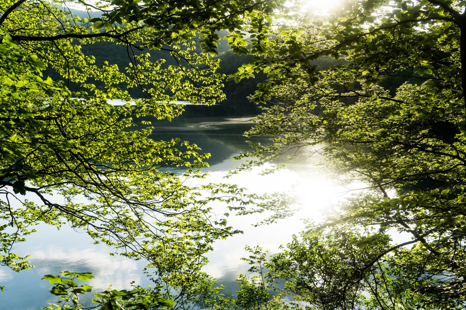 Sony Alpha a5000 (ILCE 5000) sample photo. Lake, tree, sunrise photography