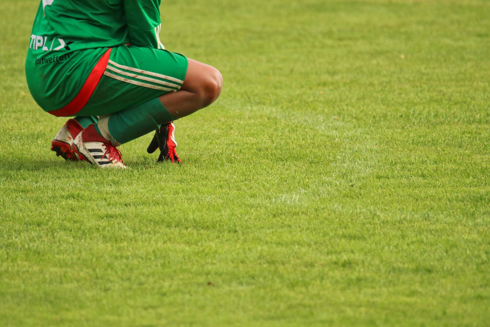 Canon EOS 80D sample photo. Goalkeeper, soccer, football photography