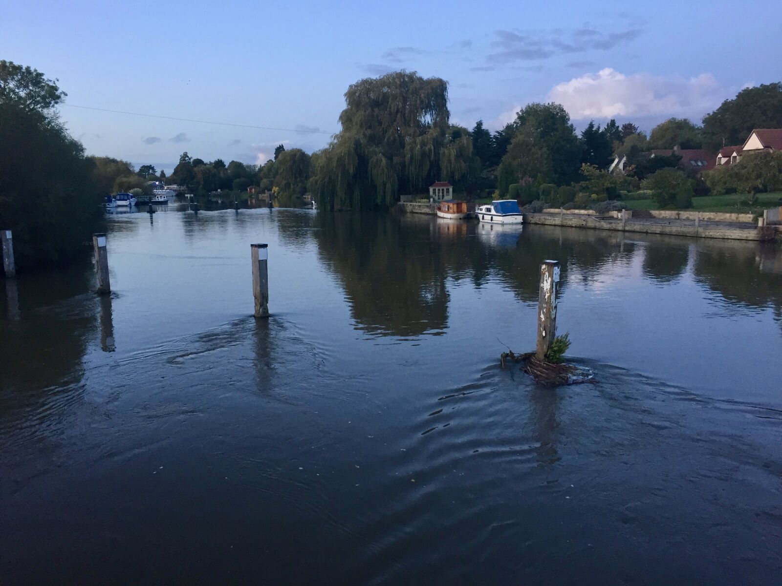 iPhone 6 back camera 4.15mm f/2.2 sample photo. Evening, benson, lock photography