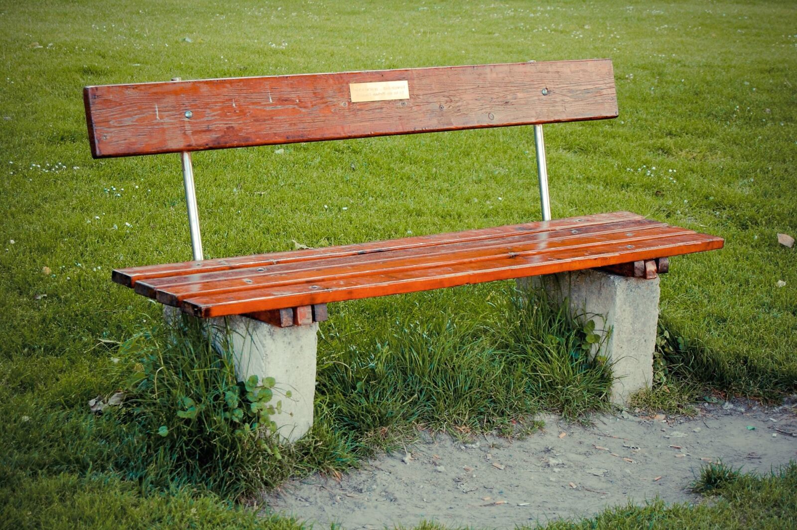 Nikon D40 sample photo. Bench, concrete, grass, plank photography