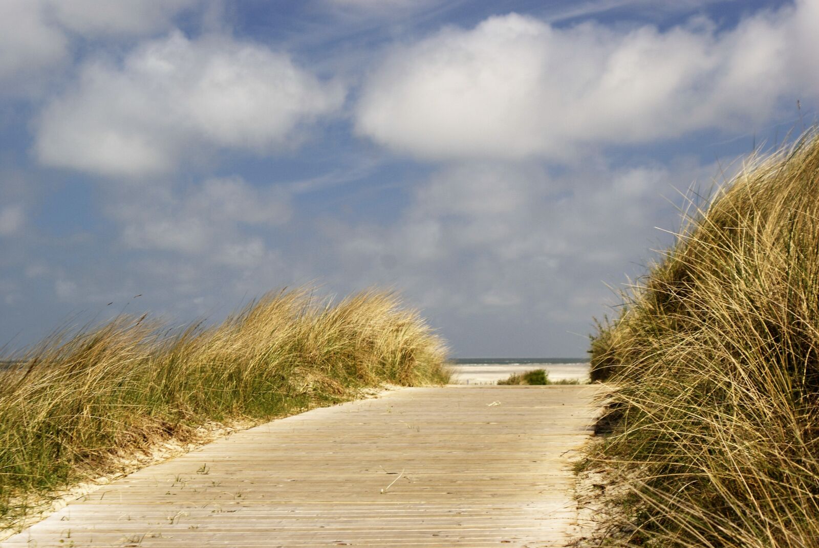 Sony Alpha DSLR-A300 sample photo. North sea, beach, dunes photography