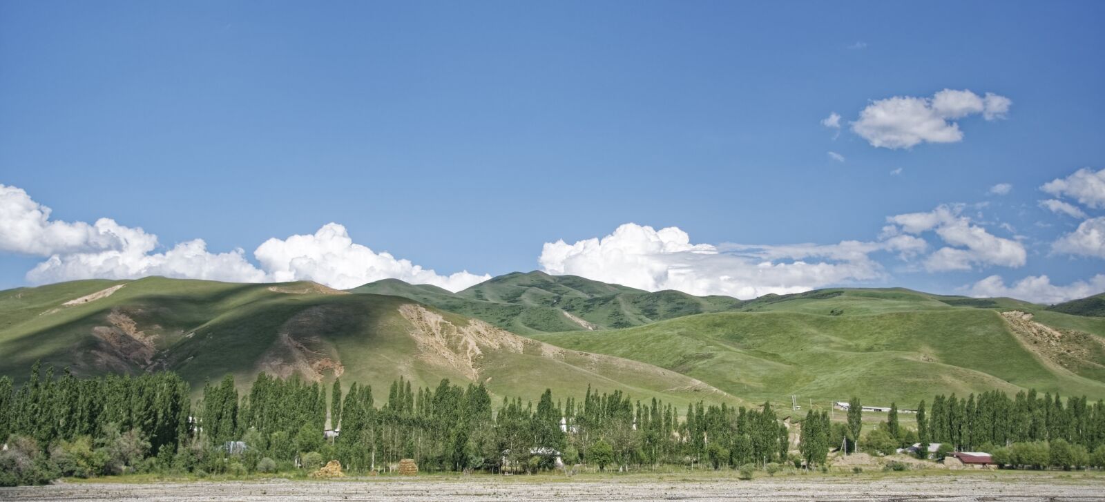 Nikon D500 sample photo. Kyrgyzstan, alai-mountains, alai valley photography