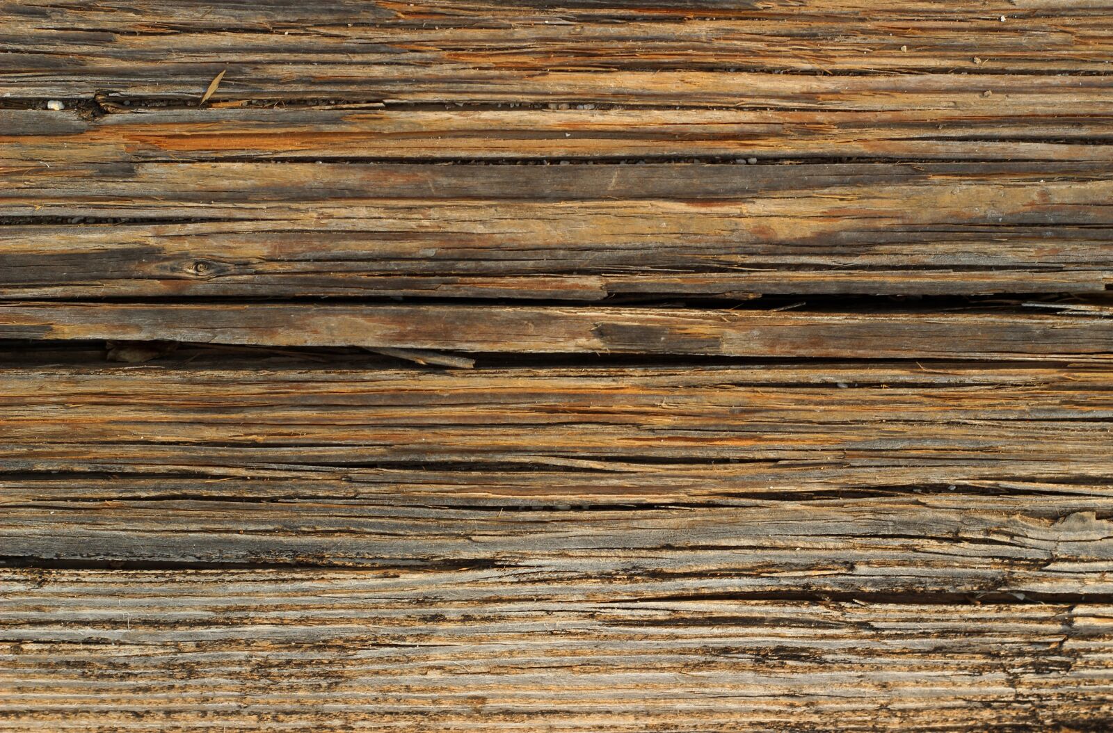 Canon EOS 600D (Rebel EOS T3i / EOS Kiss X5) + Canon EF 50mm F1.8 II sample photo. Wood, texture, wood texture photography