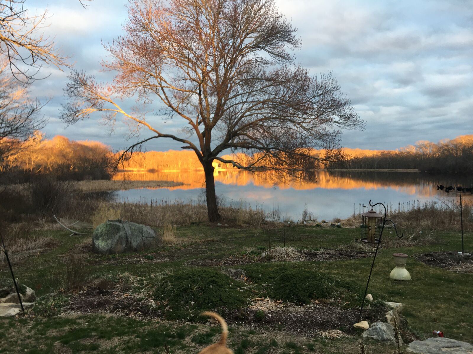 iPhone 6s Plus back camera 4.15mm f/2.2 sample photo. Sunrise, pond, landscape photography