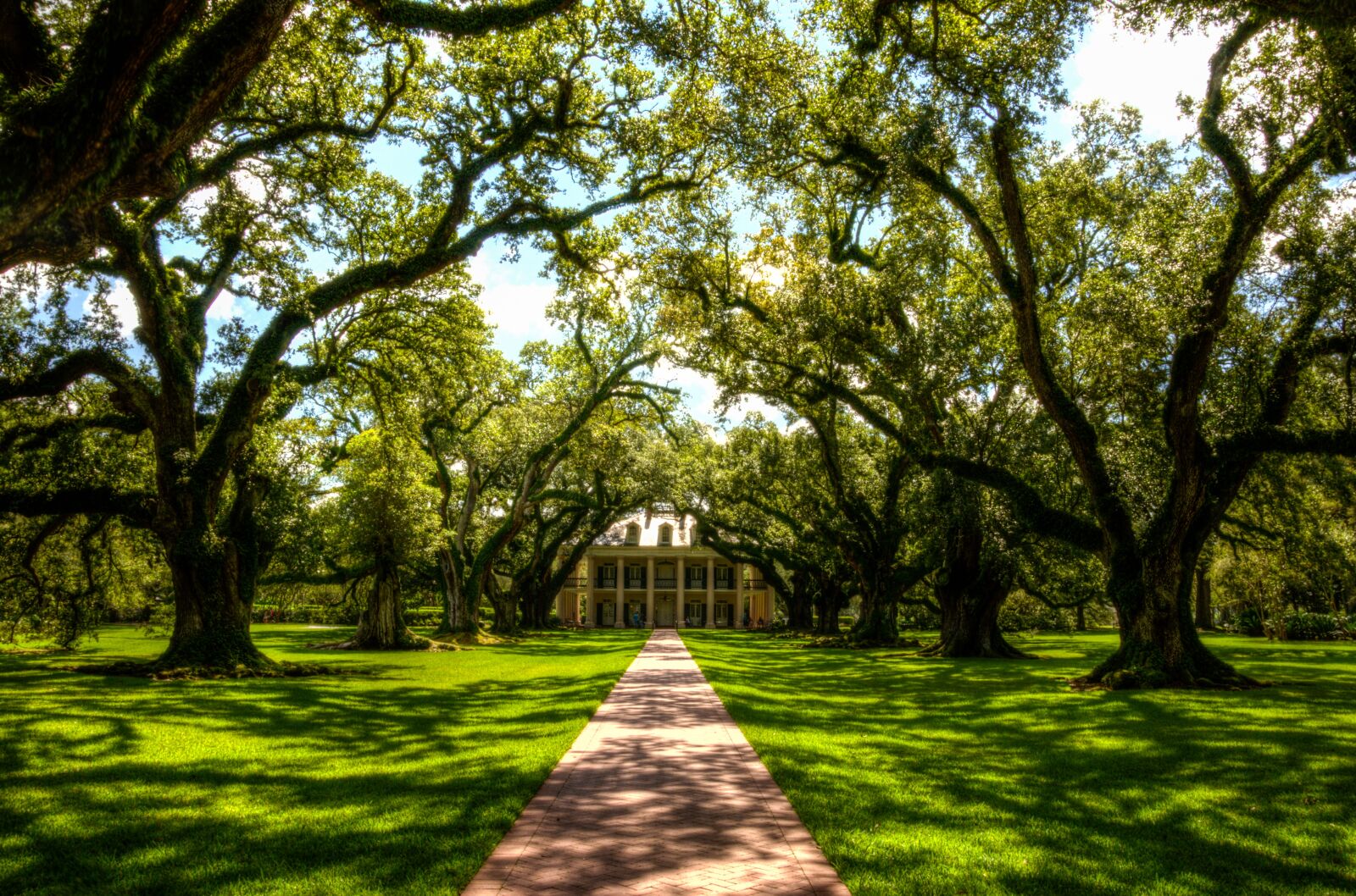 Nikon D5100 sample photo. Oak alley plantation, usa photography