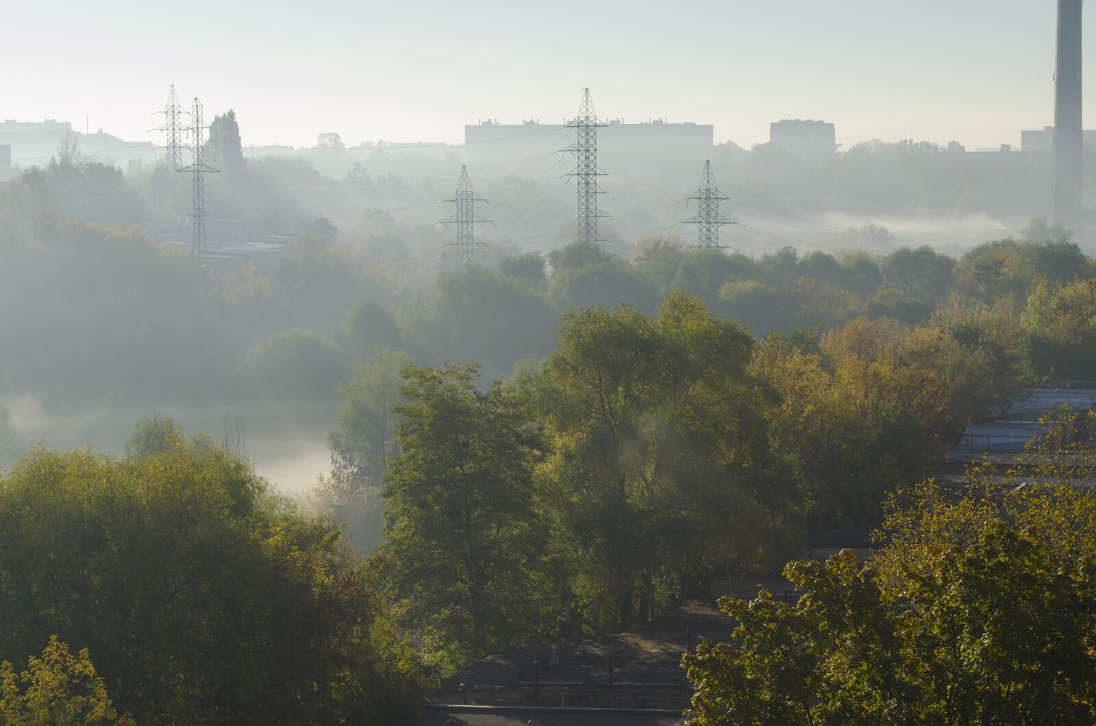 Nikon D5100 sample photo. Morning, dawn, fog photography