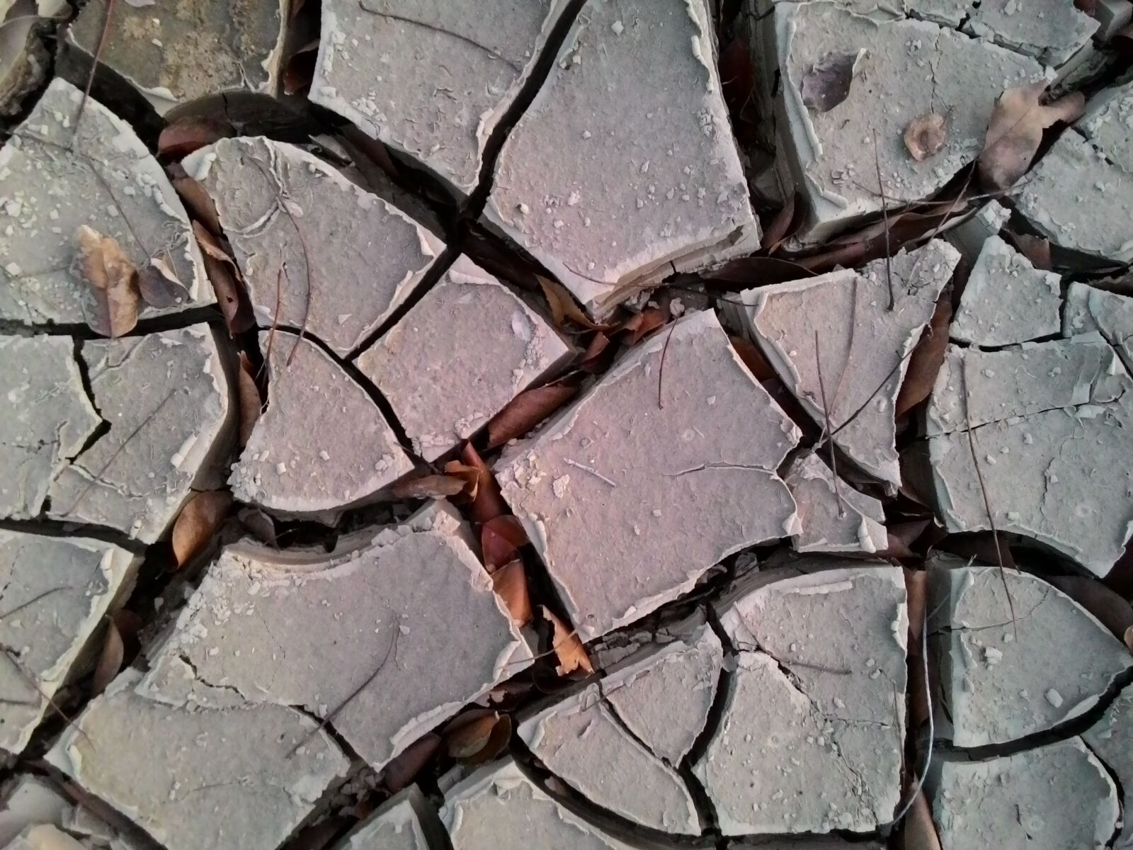 ASUS T00J sample photo. Cracked soil, drought, el photography