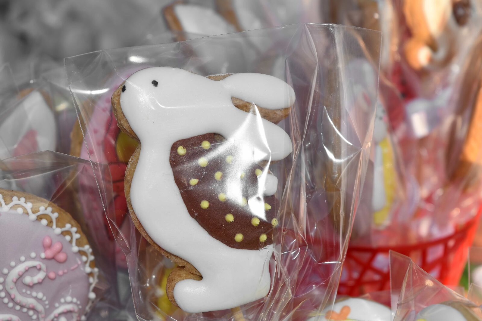 Nikon D5500 sample photo. Bunny, cookie, easter, celebration photography