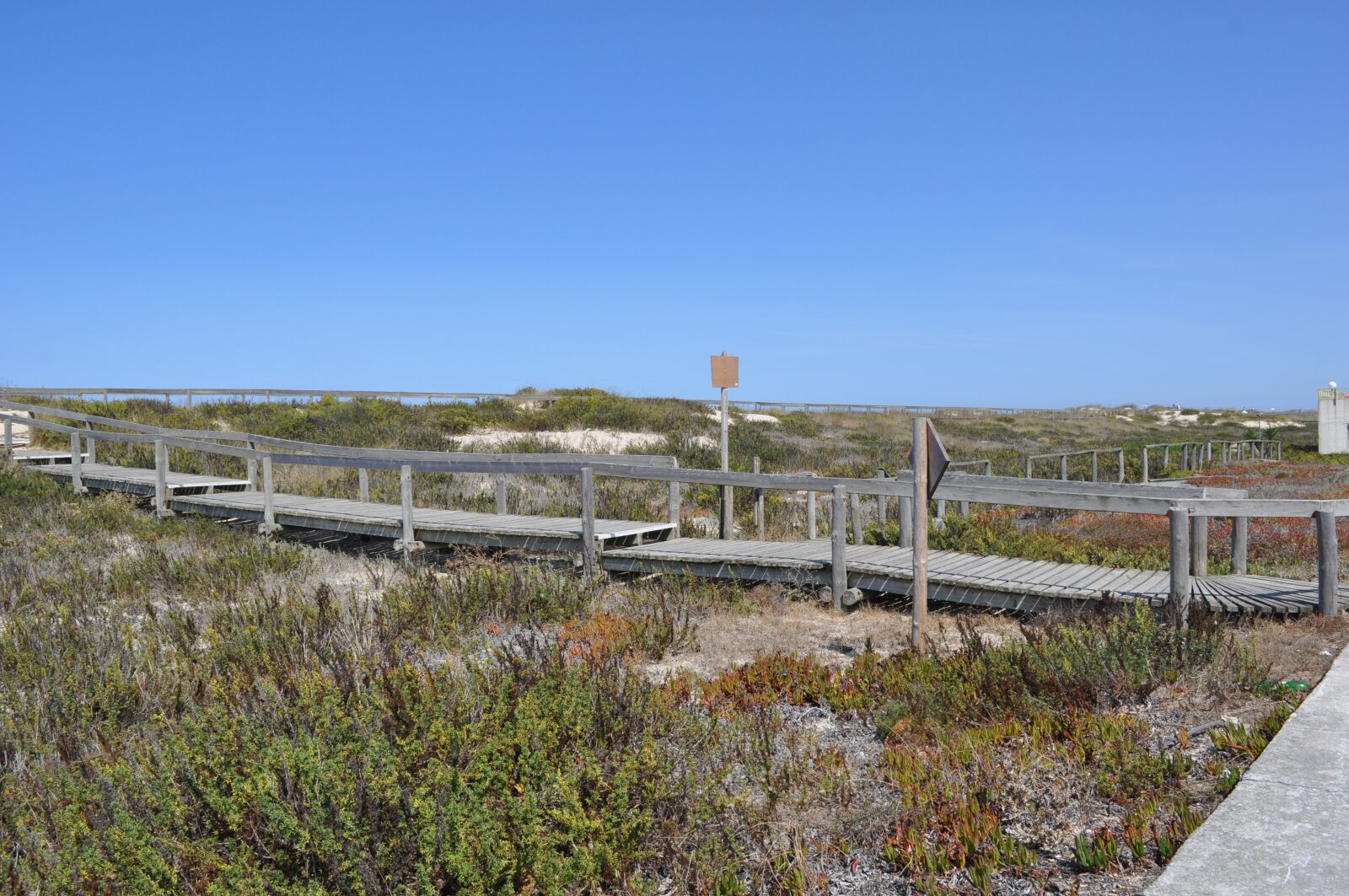 Nikon D90 sample photo. Portugal, beach, dune photography