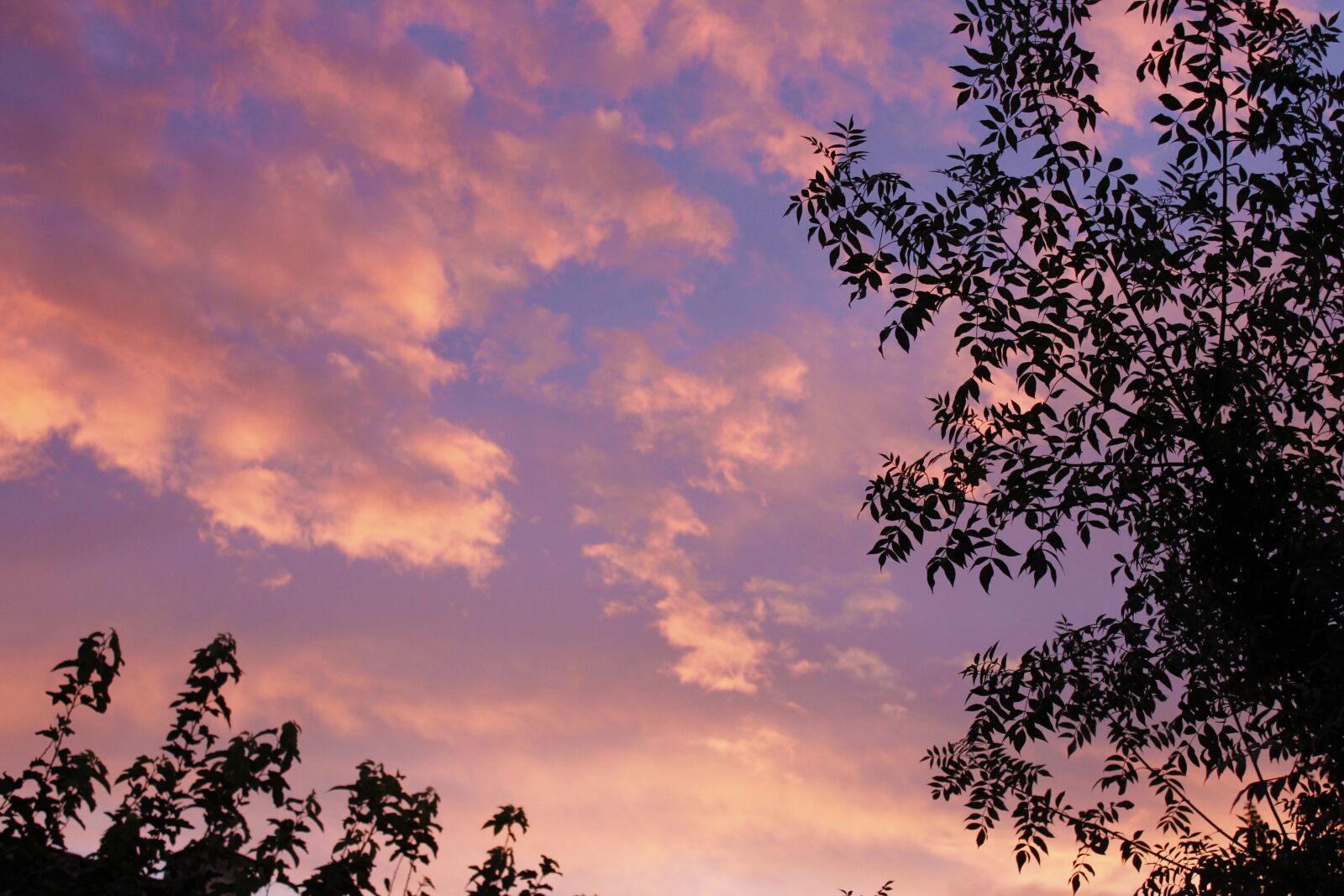 Canon EOS 1200D (EOS Rebel T5 / EOS Kiss X70 / EOS Hi) sample photo. Sky, nature, sunset photography