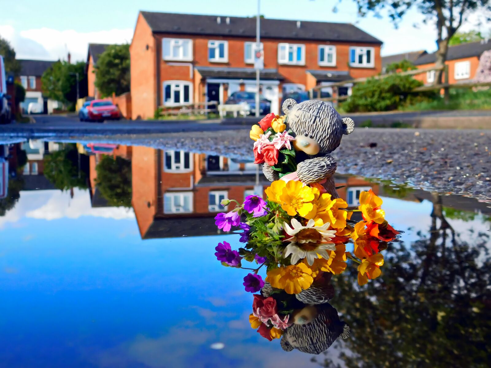 Nikon Coolpix B500 sample photo. Reflections, blue sky, water photography