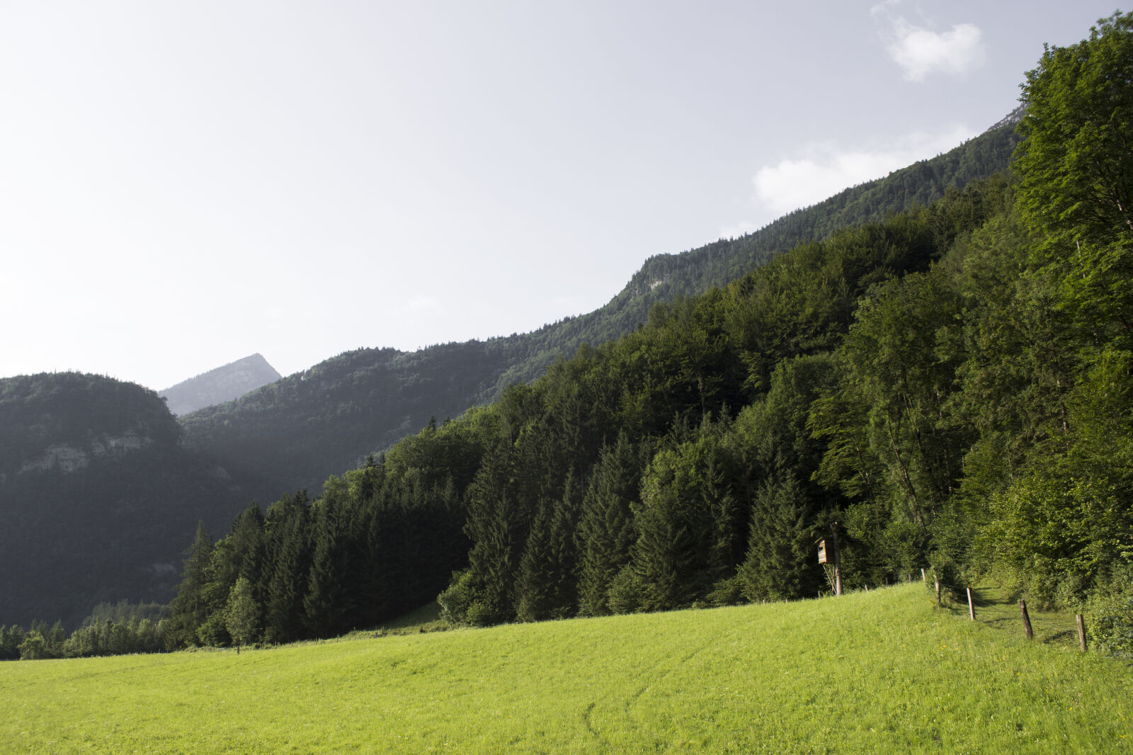 Canon EOS 600D (Rebel EOS T3i / EOS Kiss X5) sample photo. Austrian, mountain, green, mountain photography