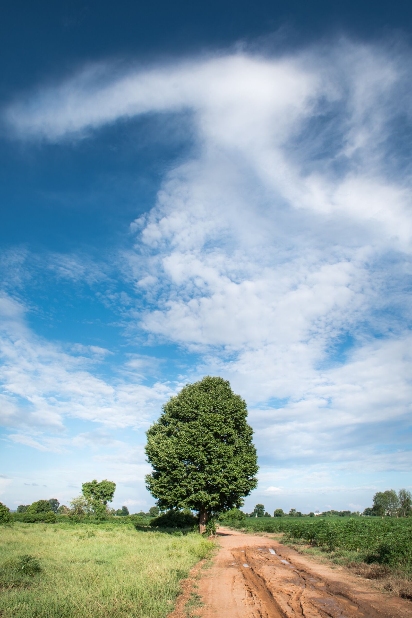 Nikon D5500 sample photo. Sky, sky blue after photography
