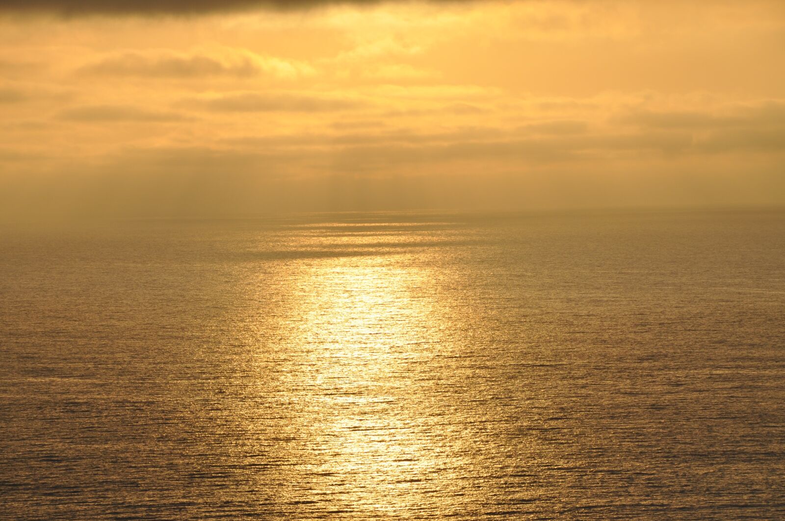 Nikon D5000 sample photo. Sunset, sky, summer photography