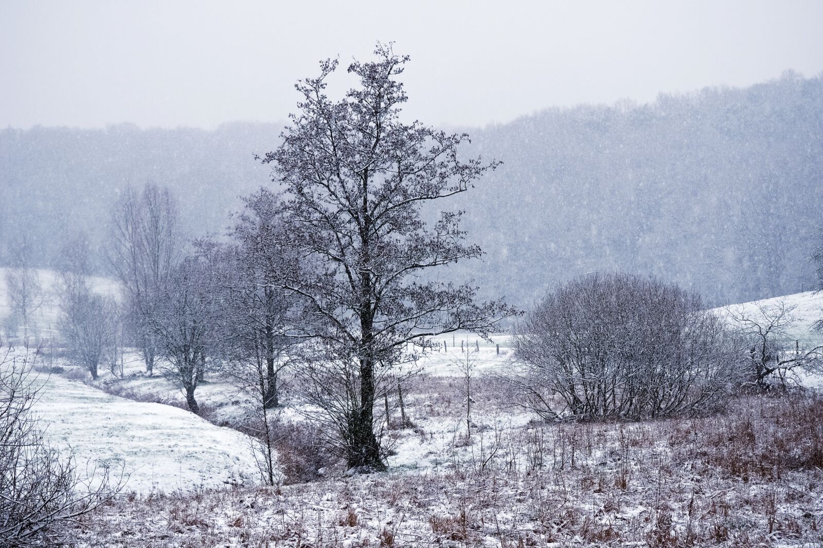 Olympus OM-D E-M10 sample photo. Landscape, winter, snow photography