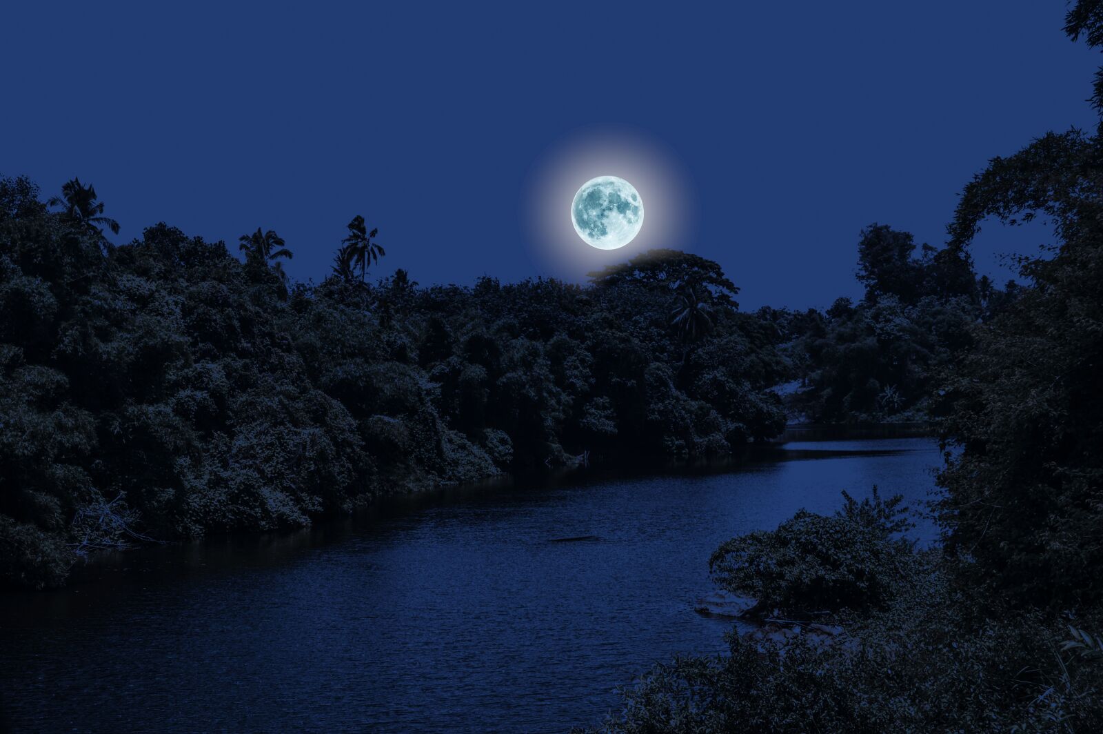 Nikon D3200 sample photo. Moon, night, moonlight photography