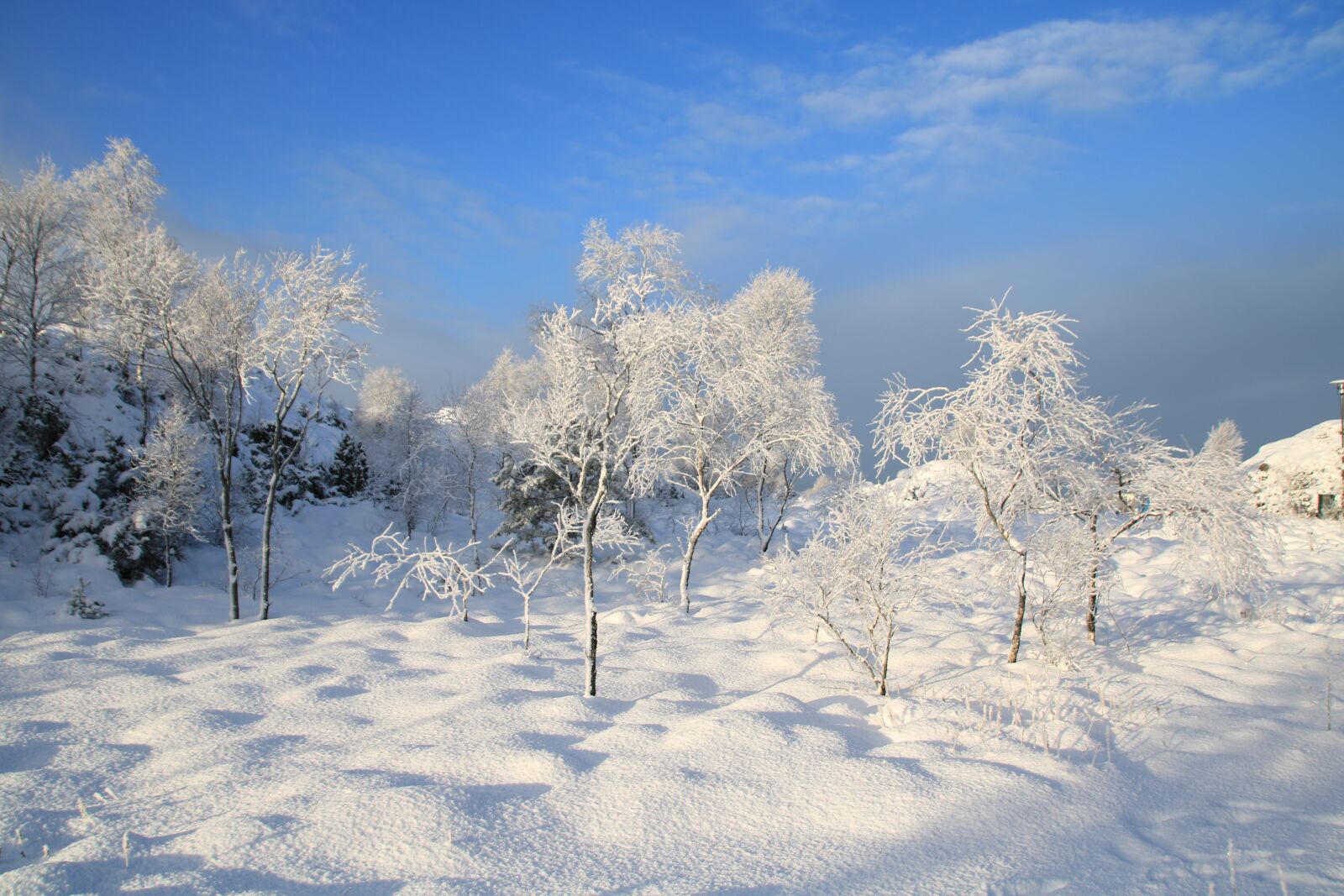 Canon EOS 750D (EOS Rebel T6i / EOS Kiss X8i) sample photo. Snow, winter, cold photography
