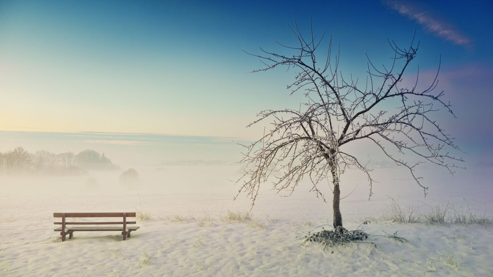 Sony a7 + Sony DT 50mm F1.8 SAM sample photo. Winter, nature, landscape photography