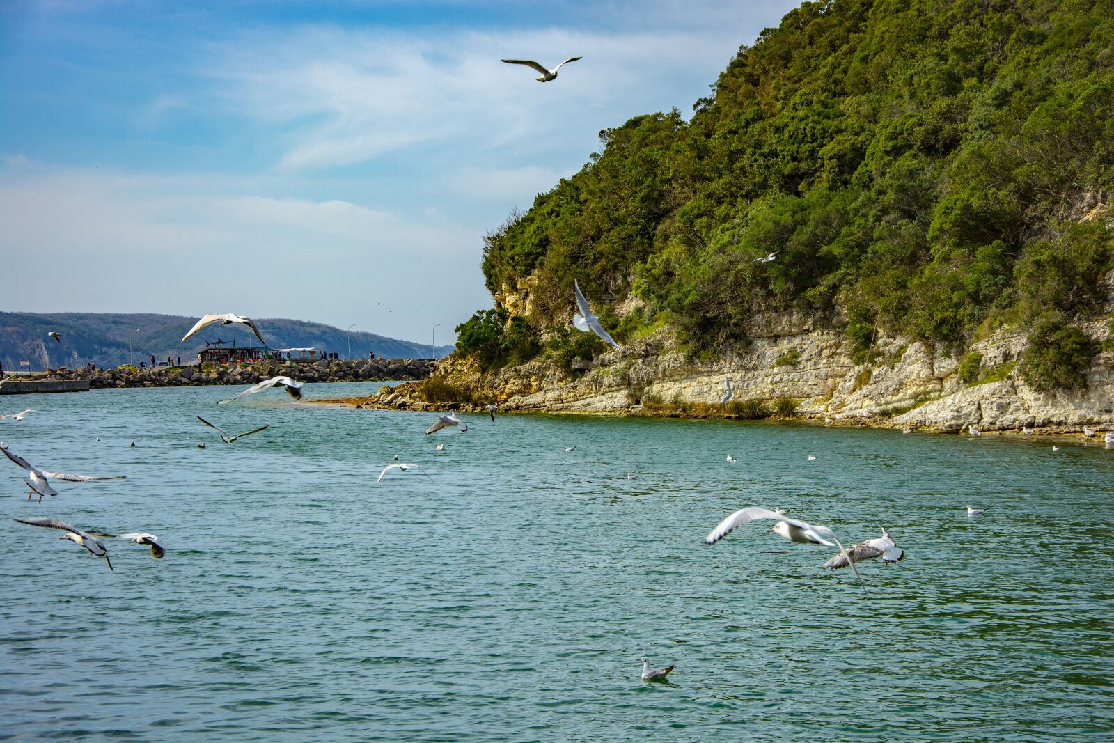 Nikon D5200 sample photo. Ağva, marine, nature photography