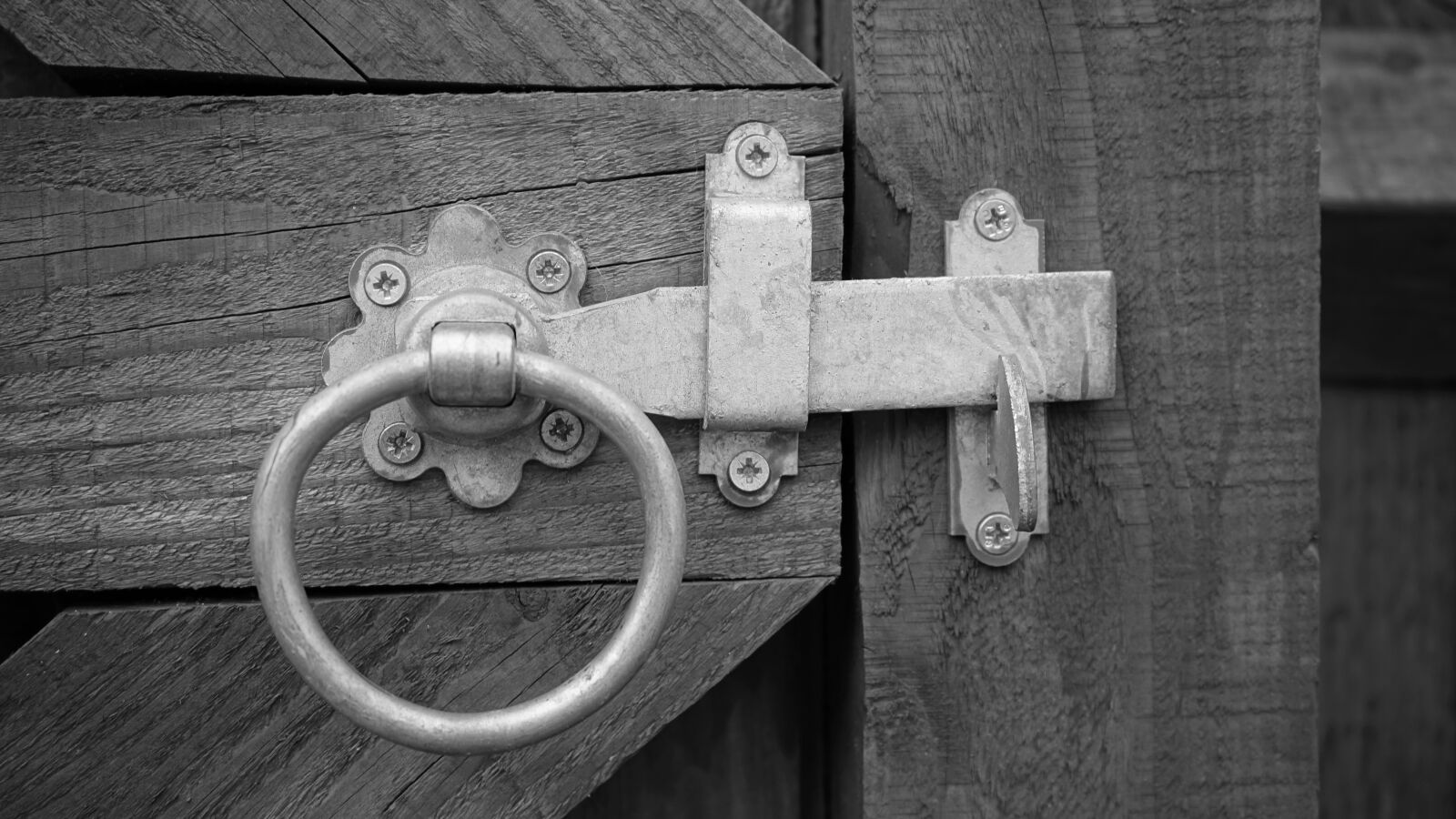 Sony a7 sample photo. Grayscale, photo, of, door photography
